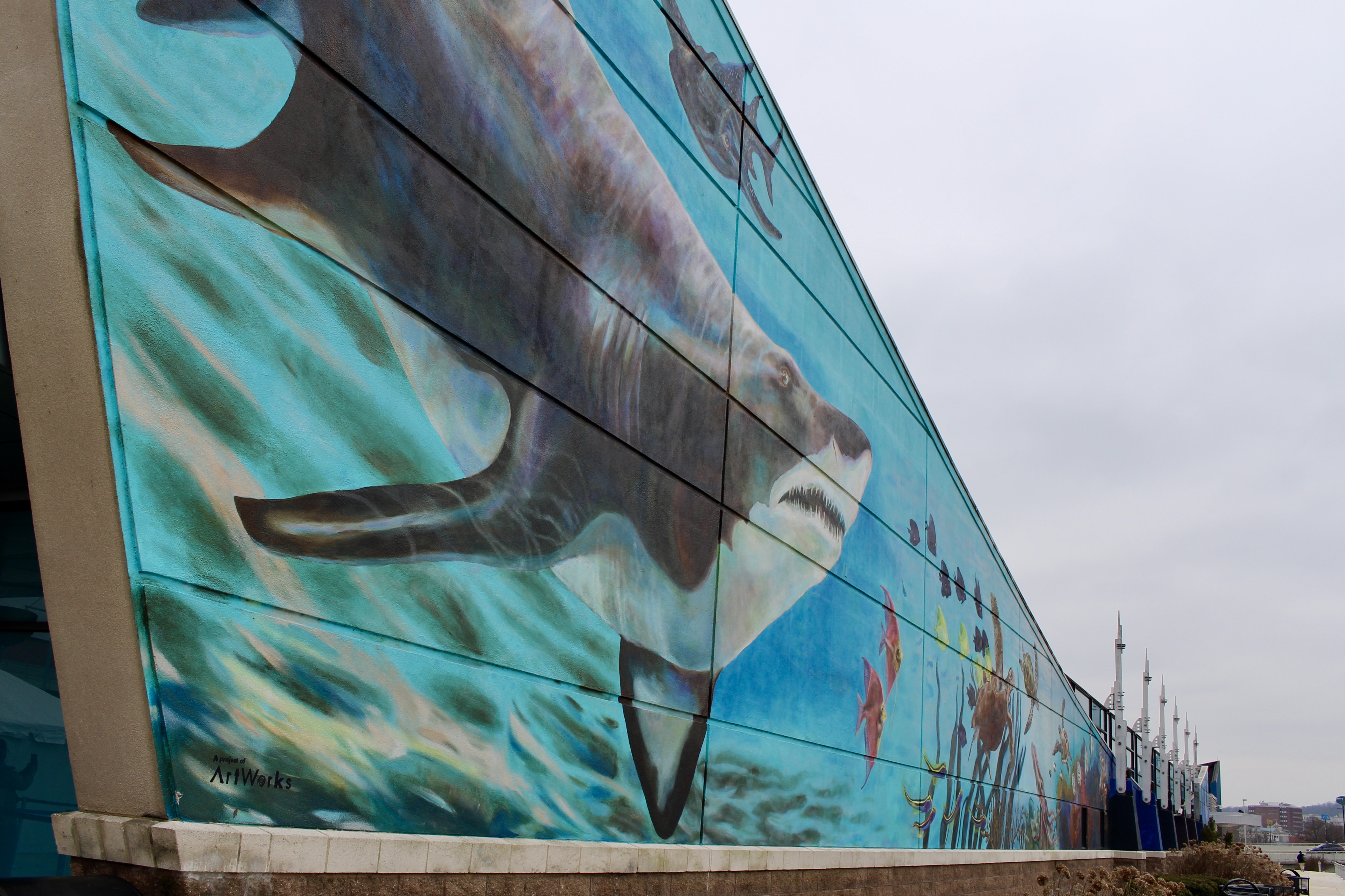 fullsizeoutput_19cd9