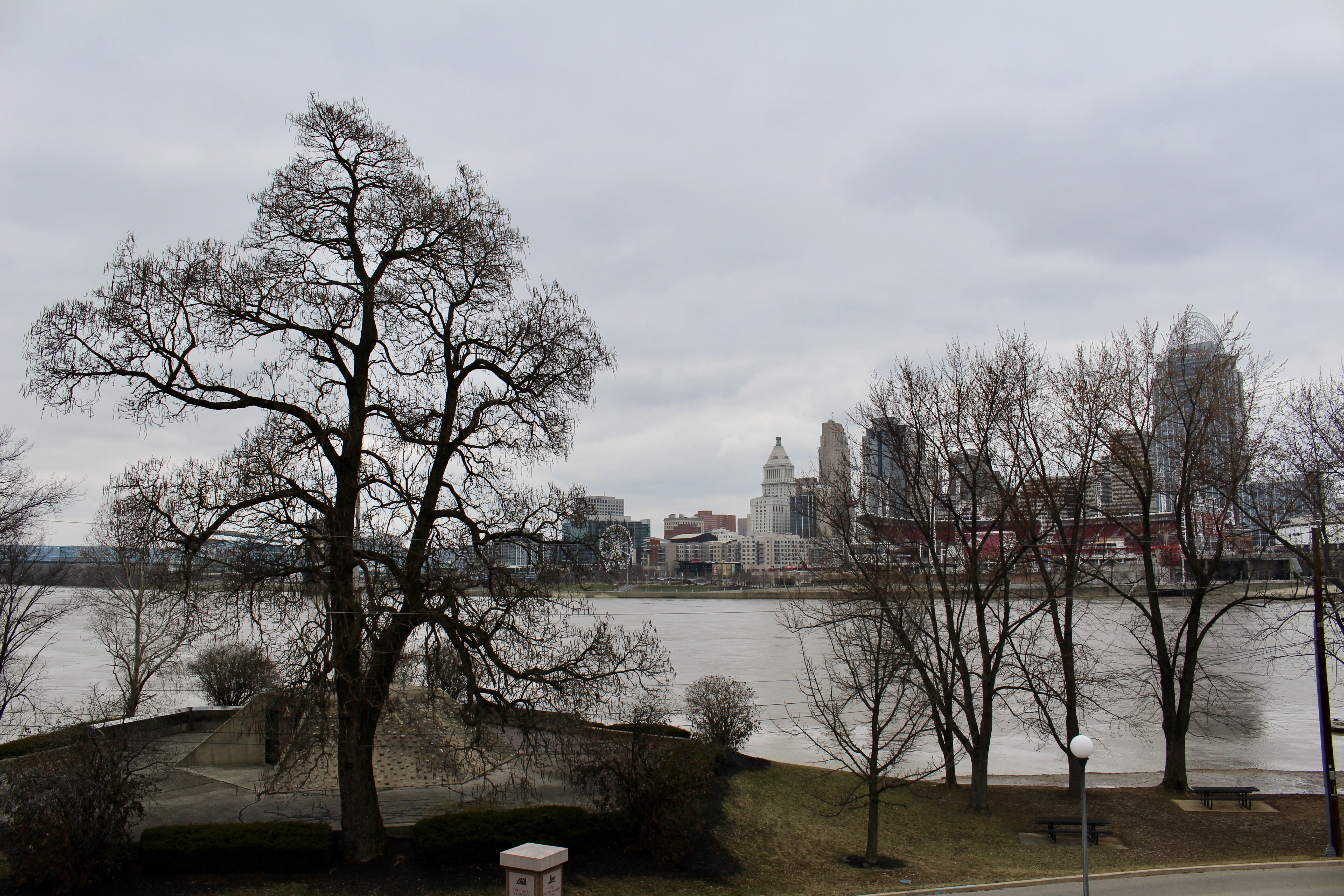 fullsizeoutput_19cdb