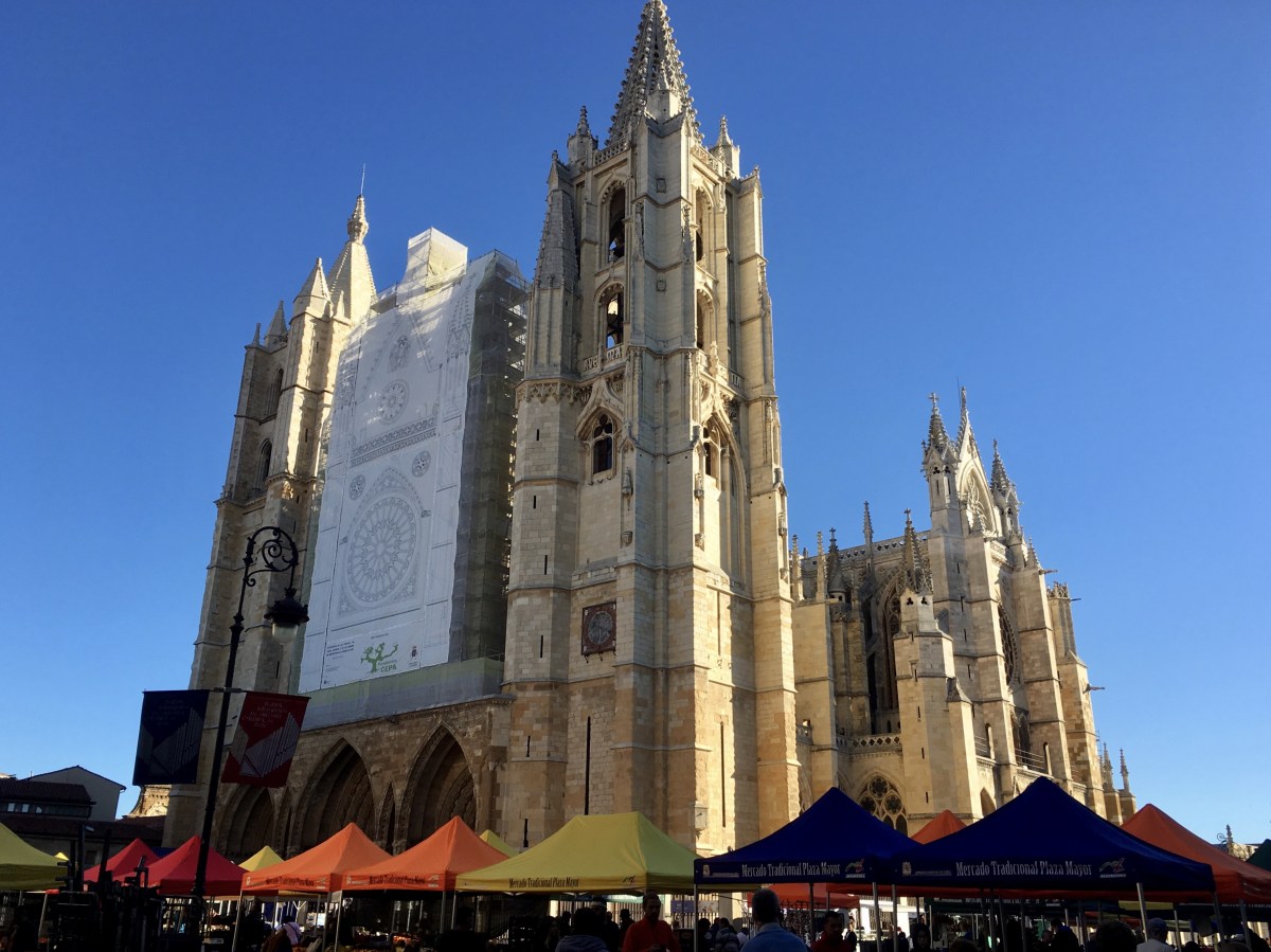 fullsizeoutput_19df1