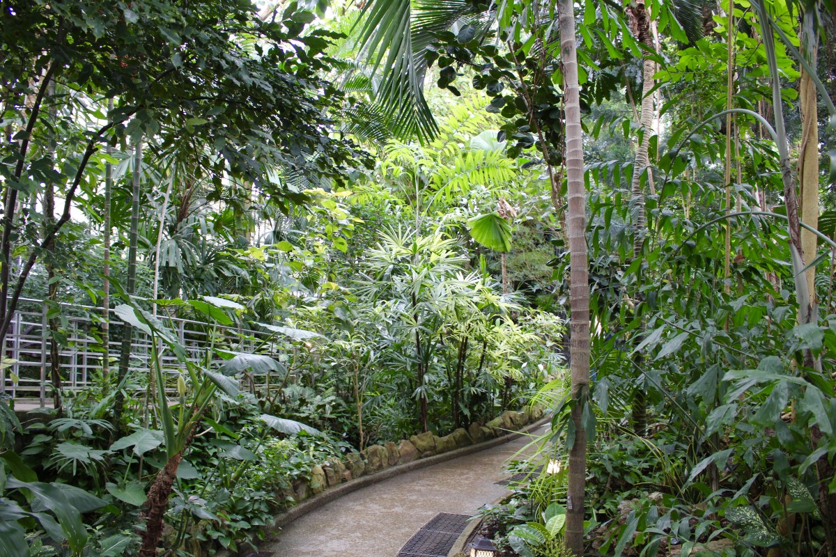 fullsizeoutput_19e82