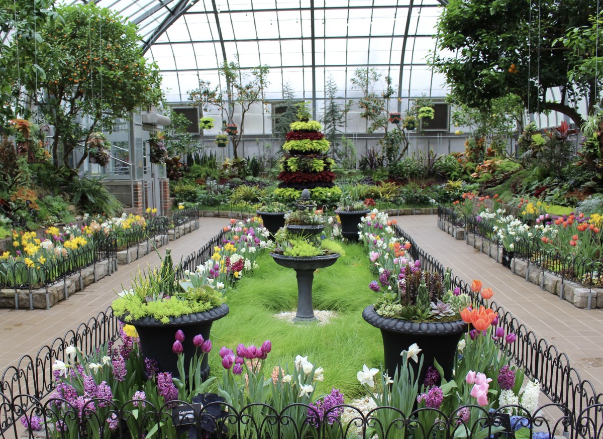 fullsizeoutput_19eed