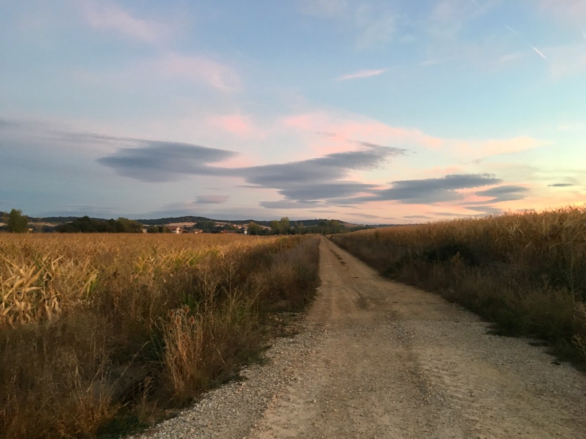 fullsizeoutput_16abd