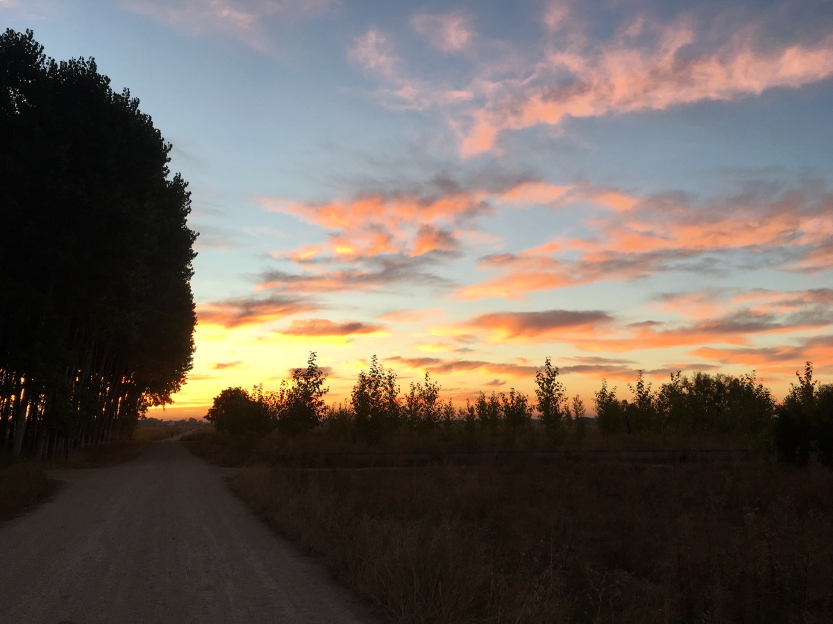 fullsizeoutput_16ac0