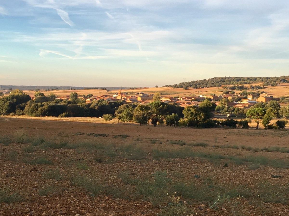 fullsizeoutput_16ac1