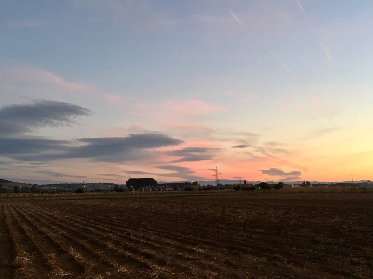 fullsizeoutput_16aca