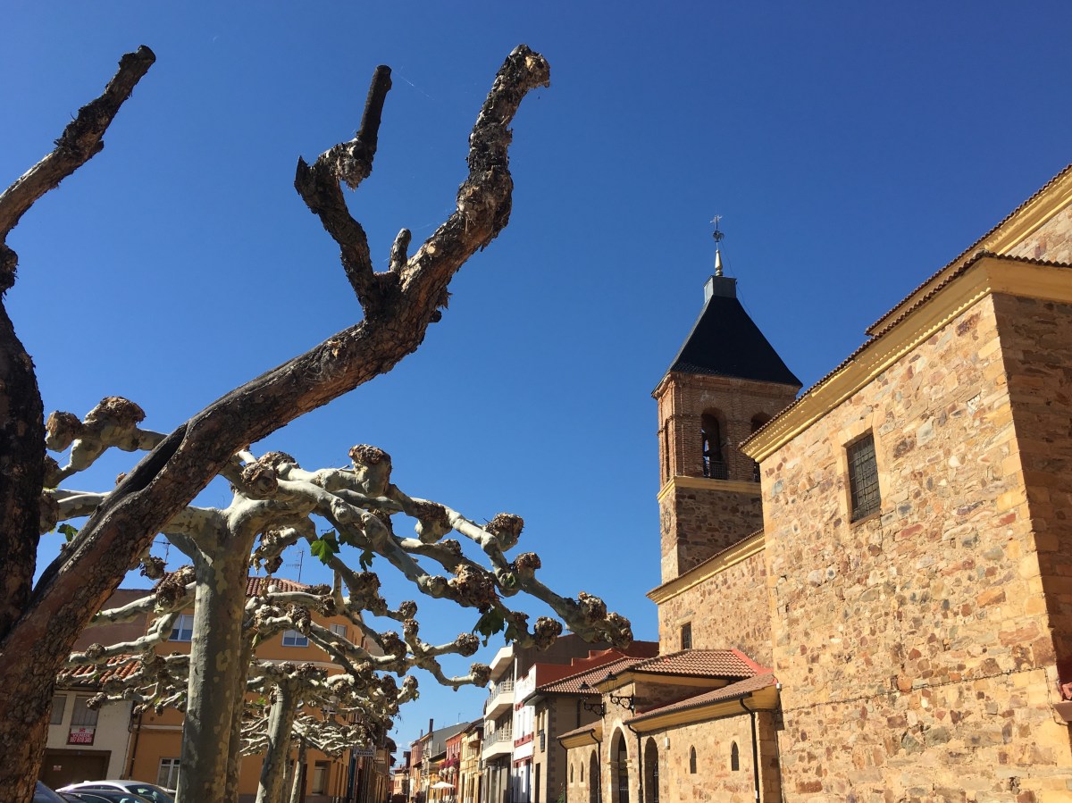 fullsizeoutput_16ad5