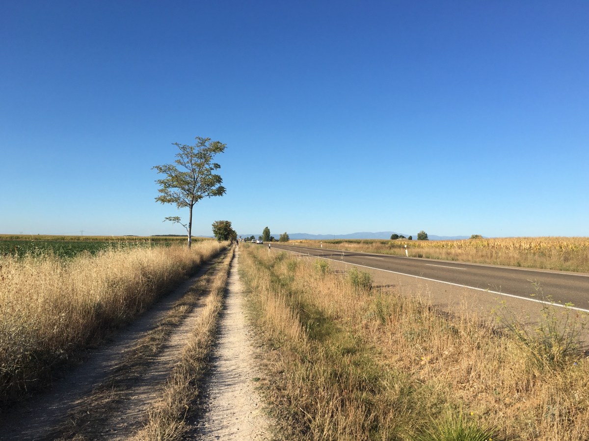 fullsizeoutput_16add