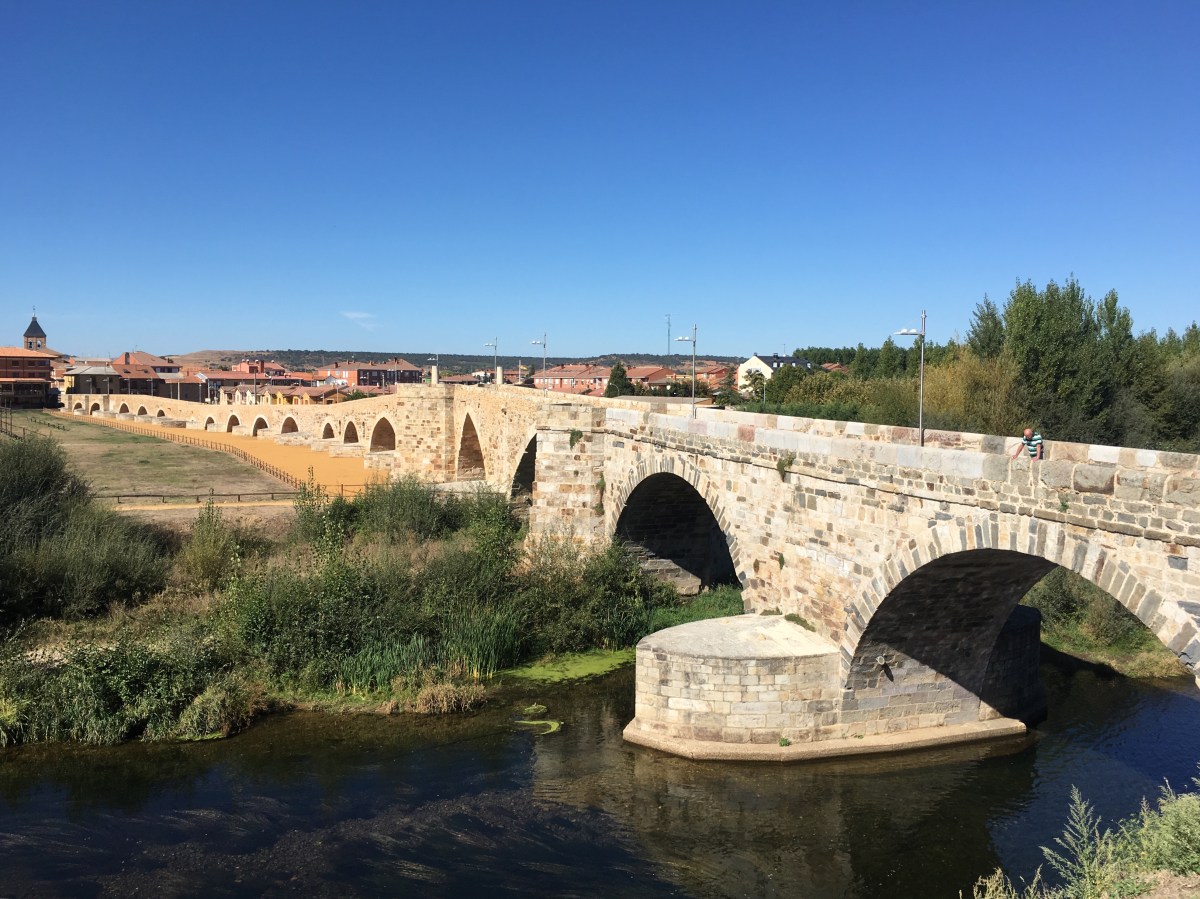 fullsizeoutput_16ae1