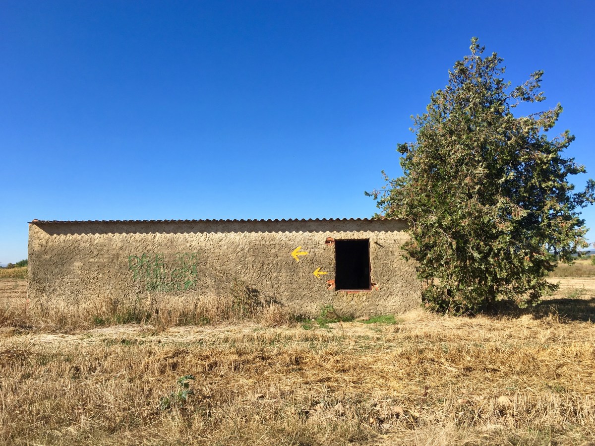 fullsizeoutput_16ae5