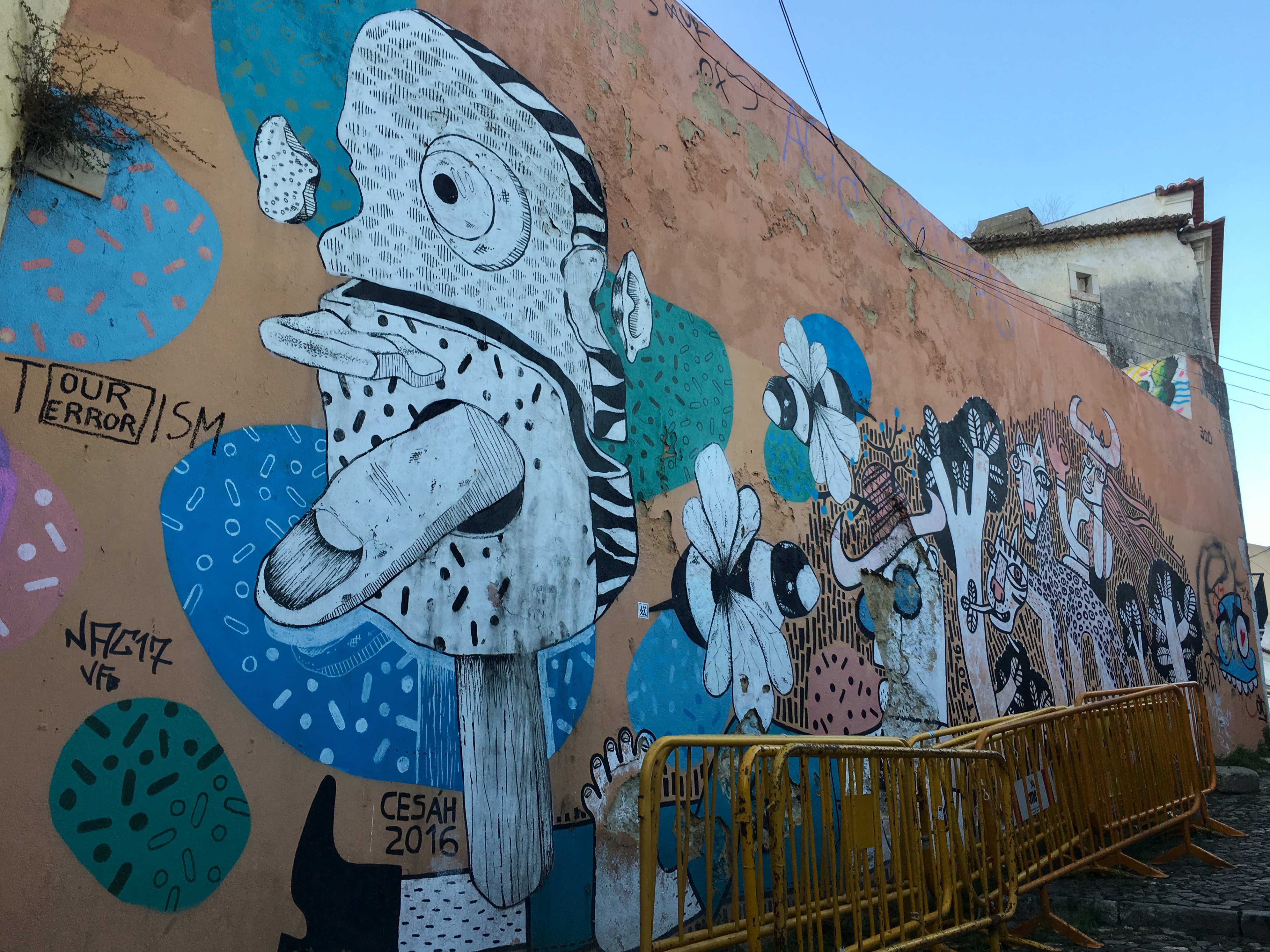 fullsizeoutput_17493