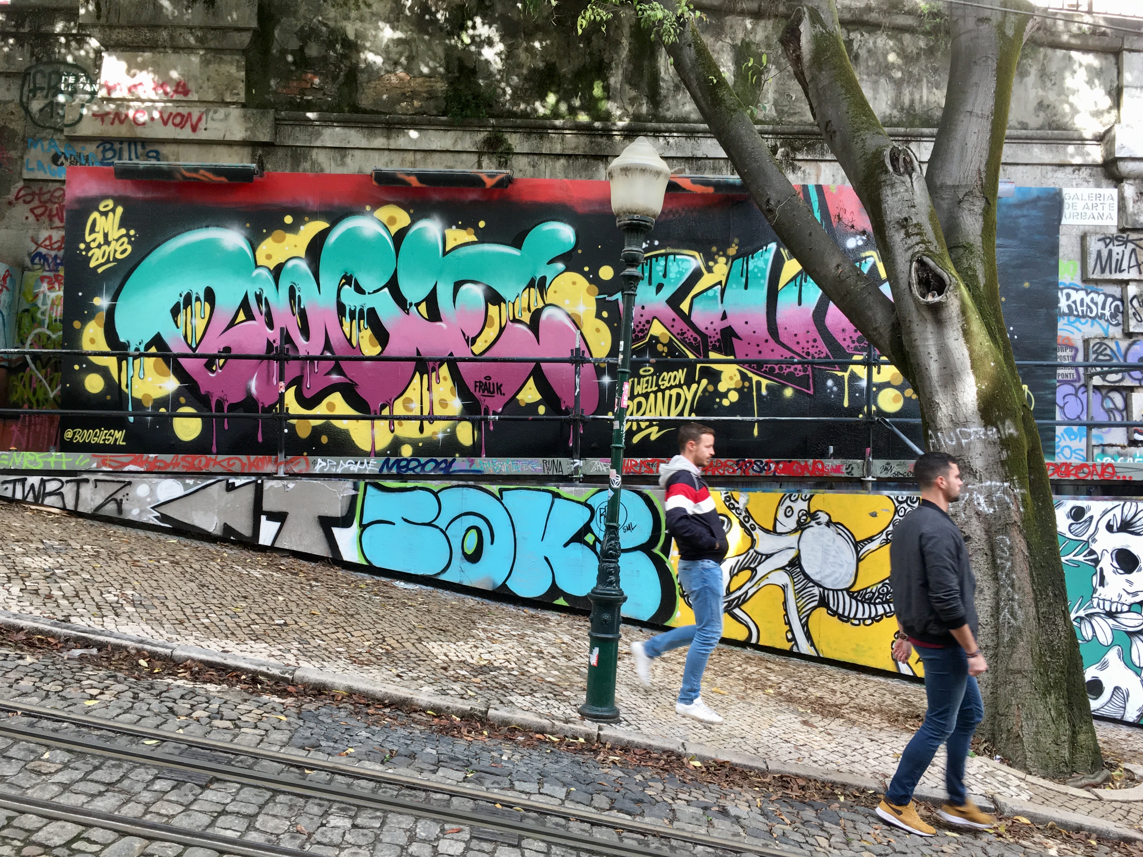 fullsizeoutput_17565