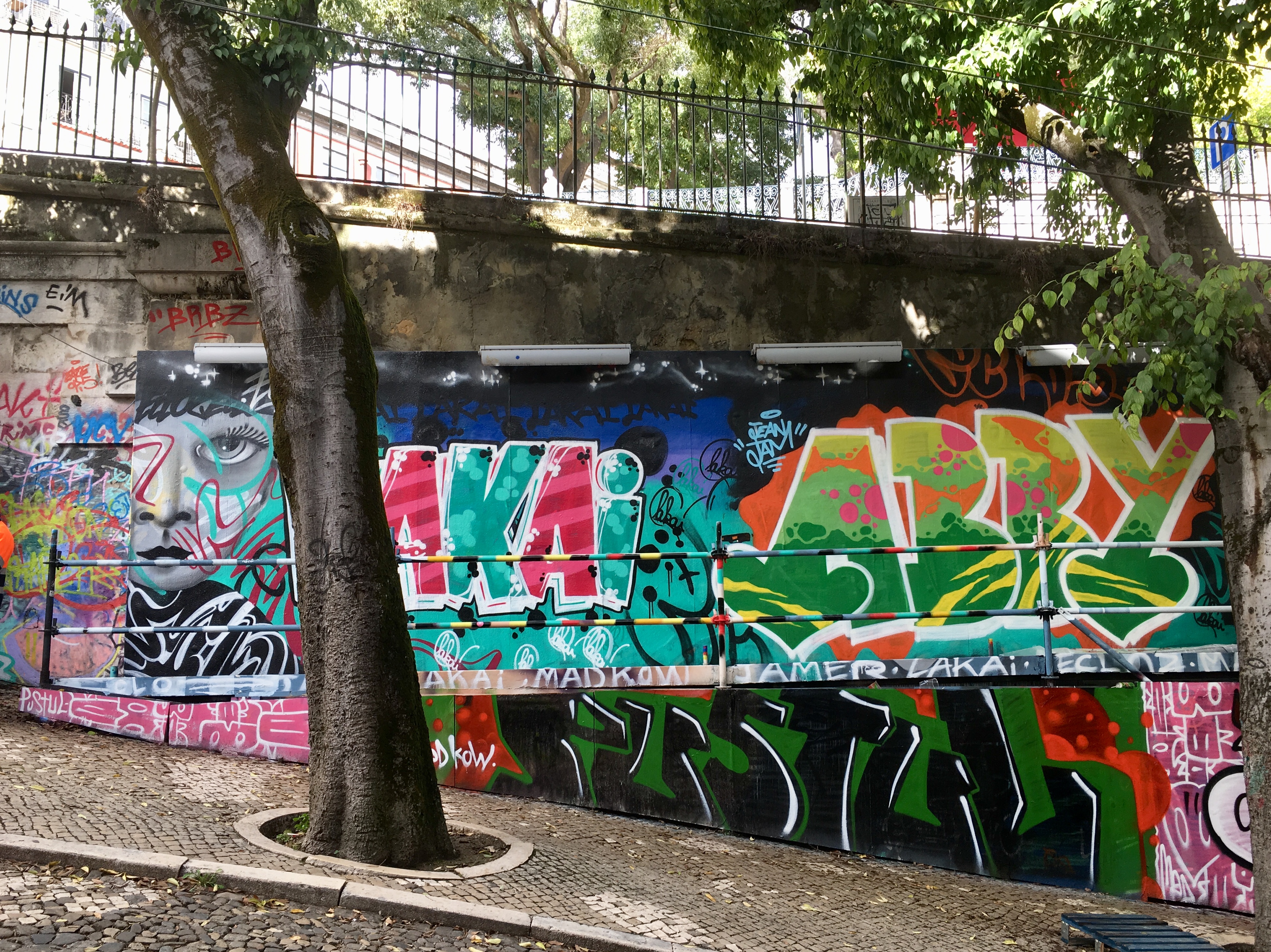 fullsizeoutput_17576