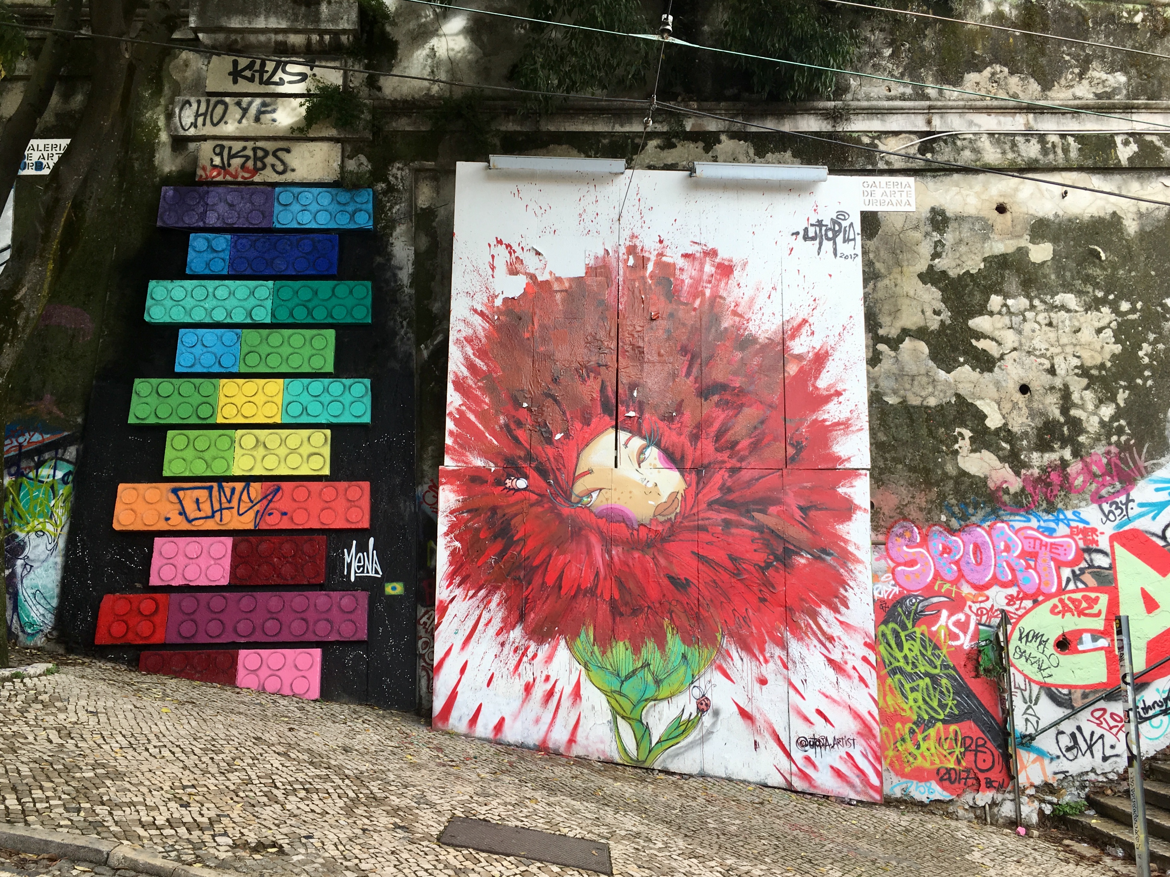 fullsizeoutput_17583