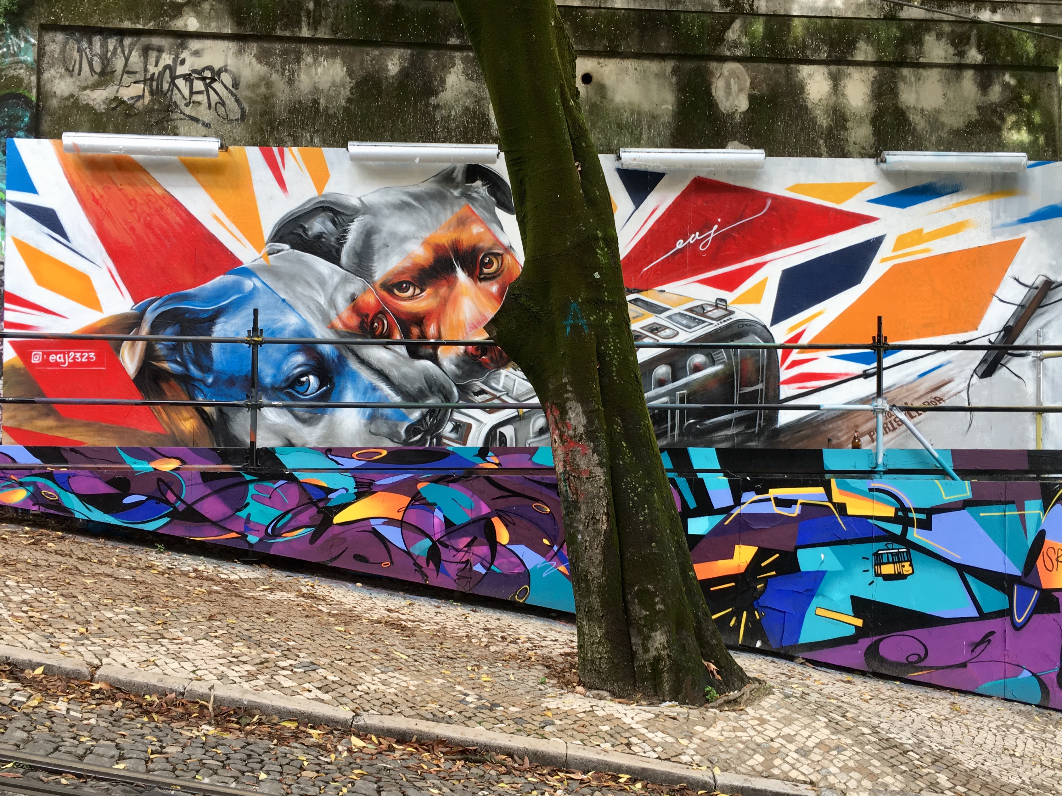 fullsizeoutput_1758a