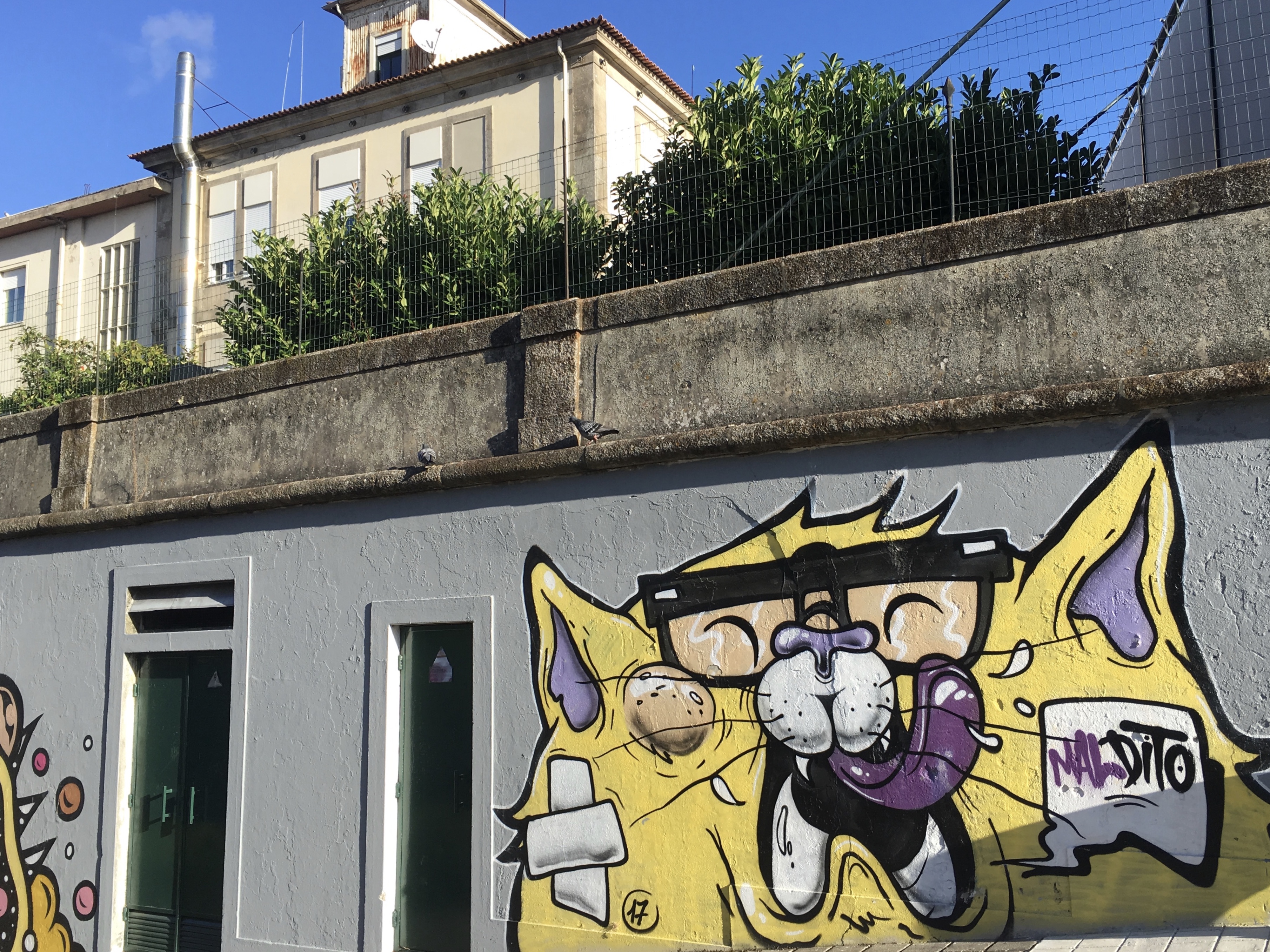 fullsizeoutput_17be6