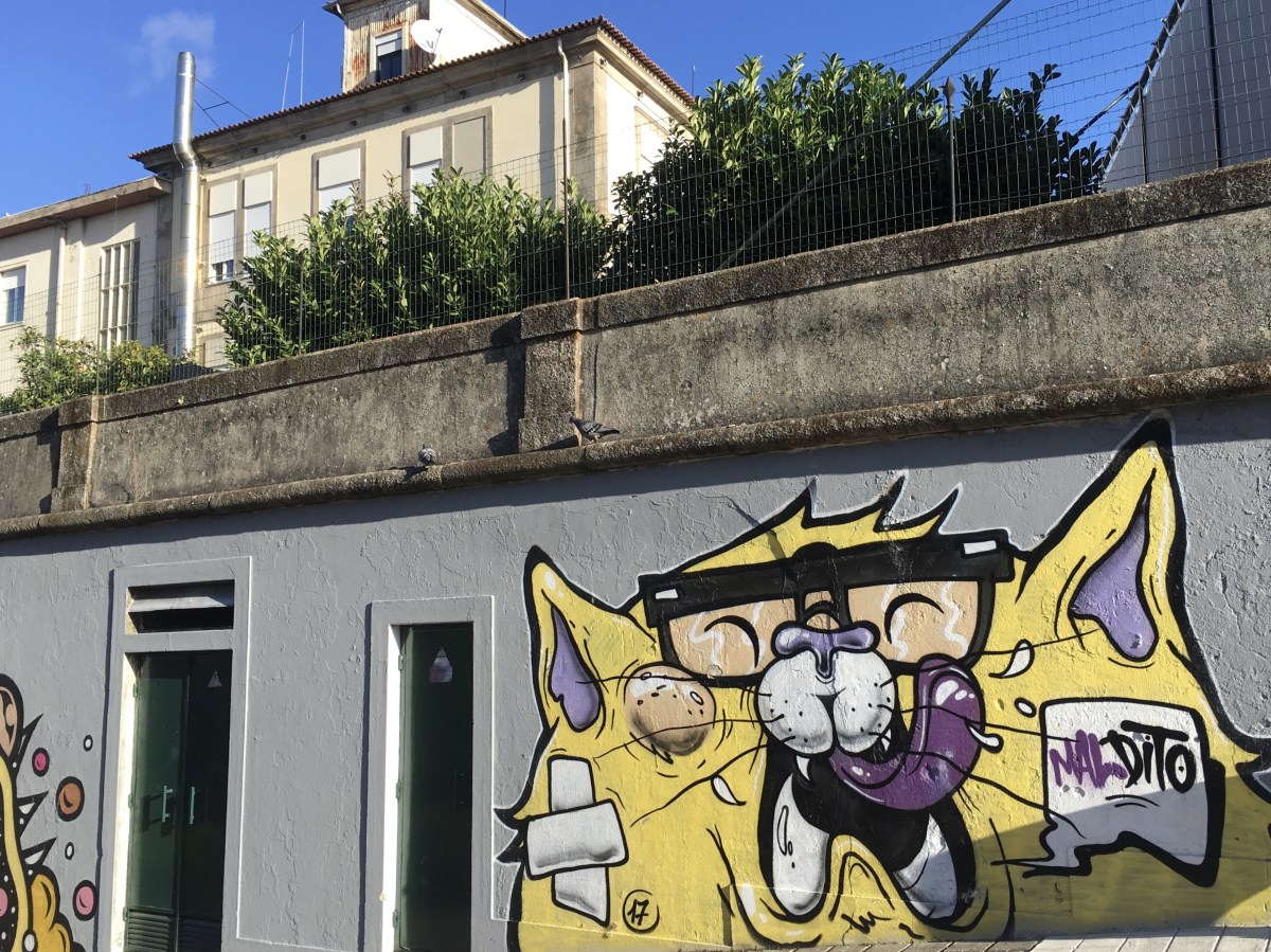 fullsizeoutput_17be6