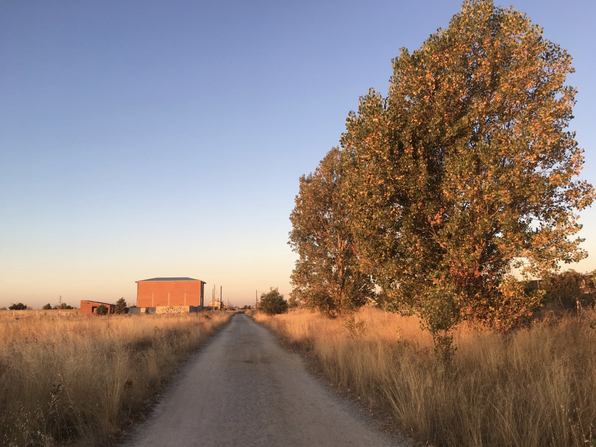 fullsizeoutput_18dc2