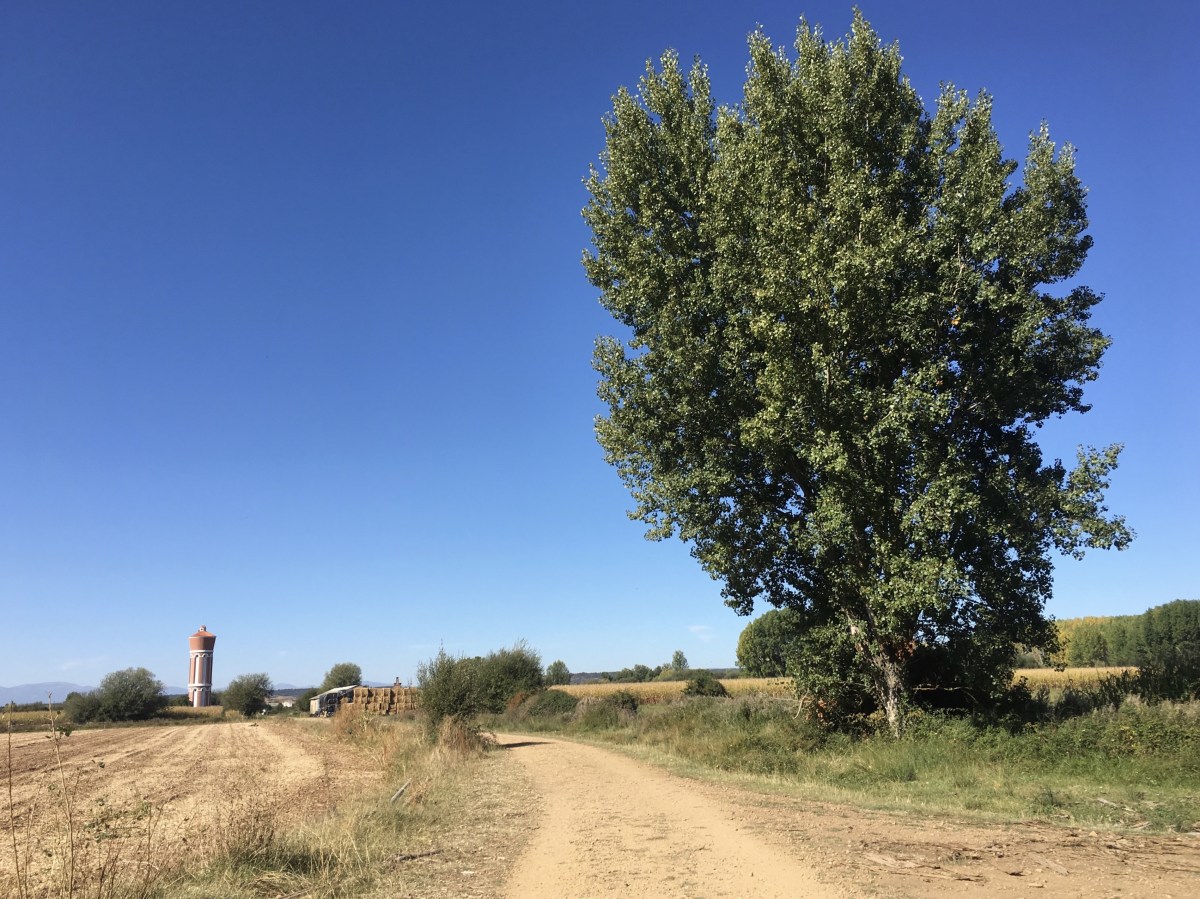 fullsizeoutput_18dc5