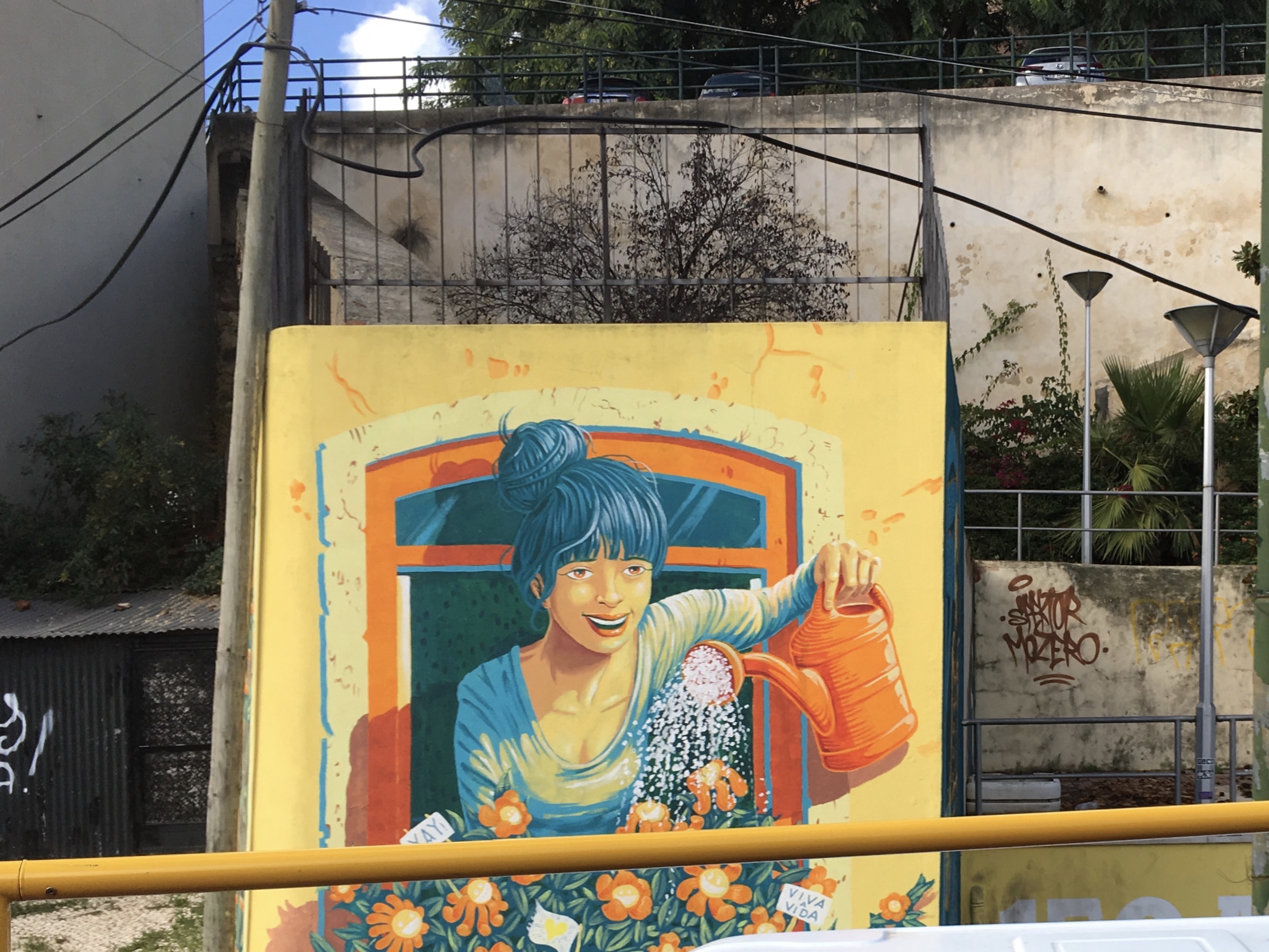 fullsizeoutput_18ddd