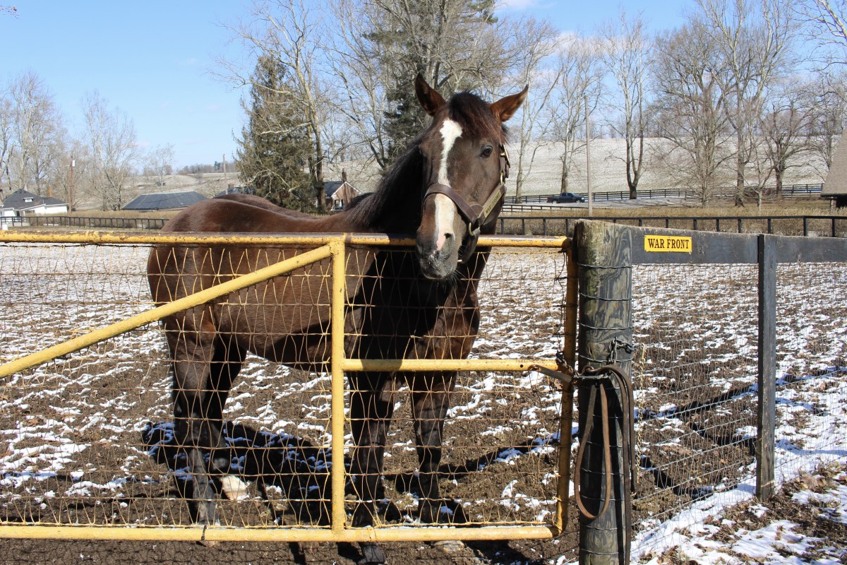 fullsizeoutput_18e03