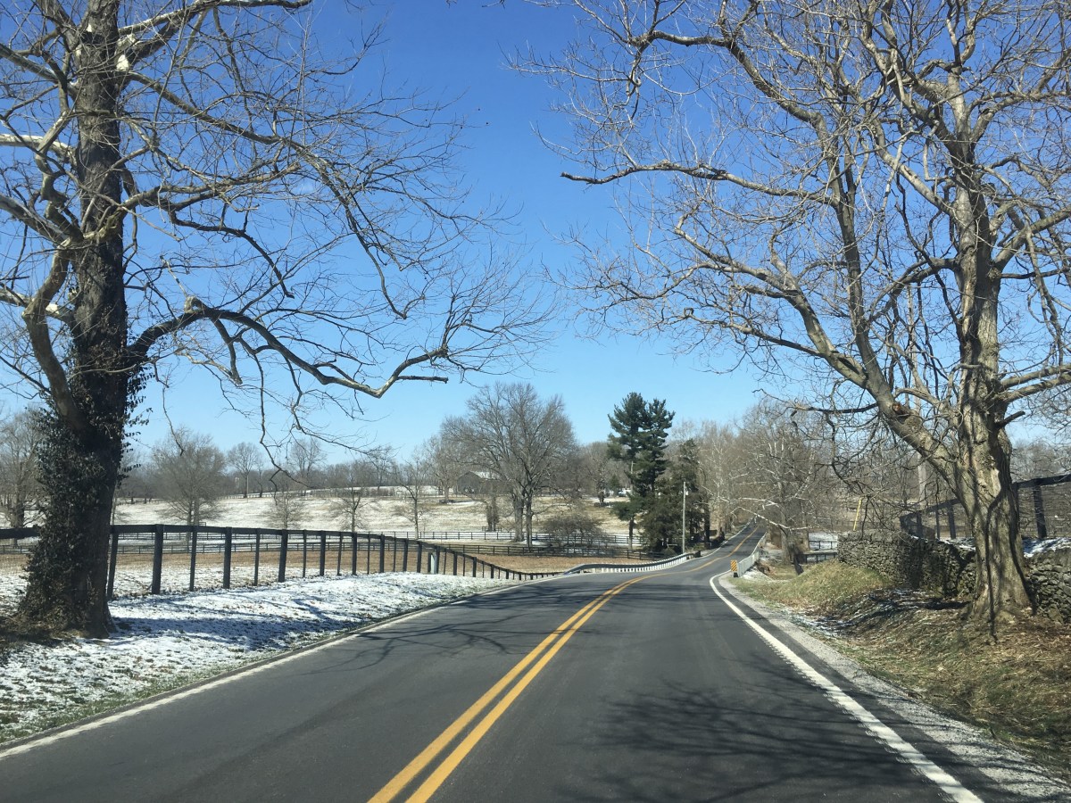 fullsizeoutput_18e07