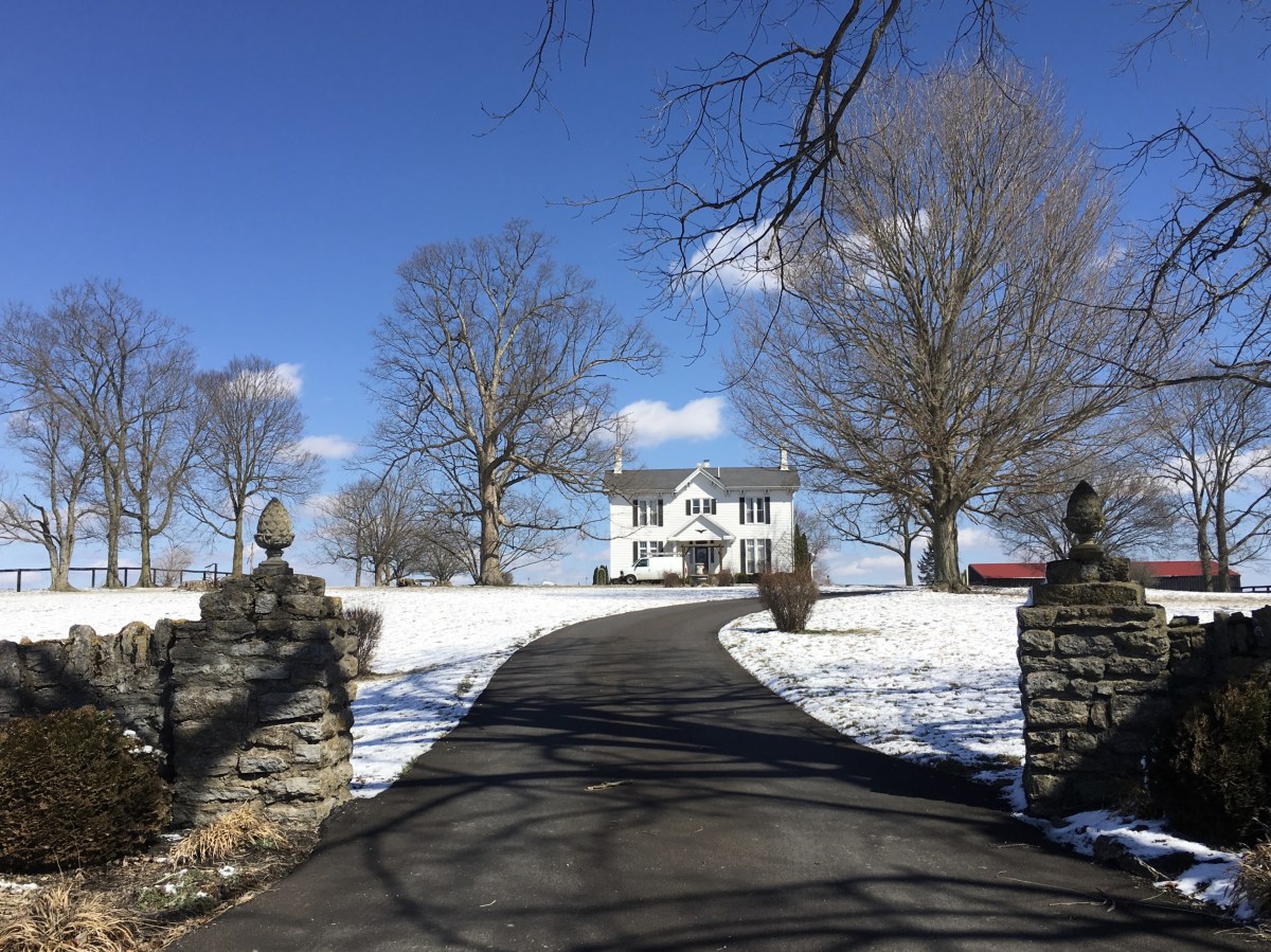 fullsizeoutput_18e0a