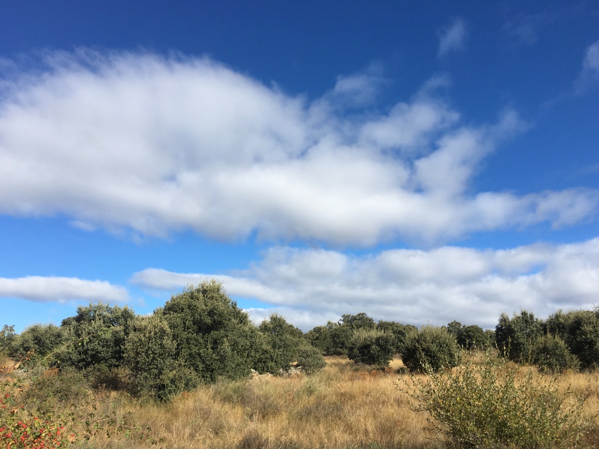 fullsizeoutput_192f6