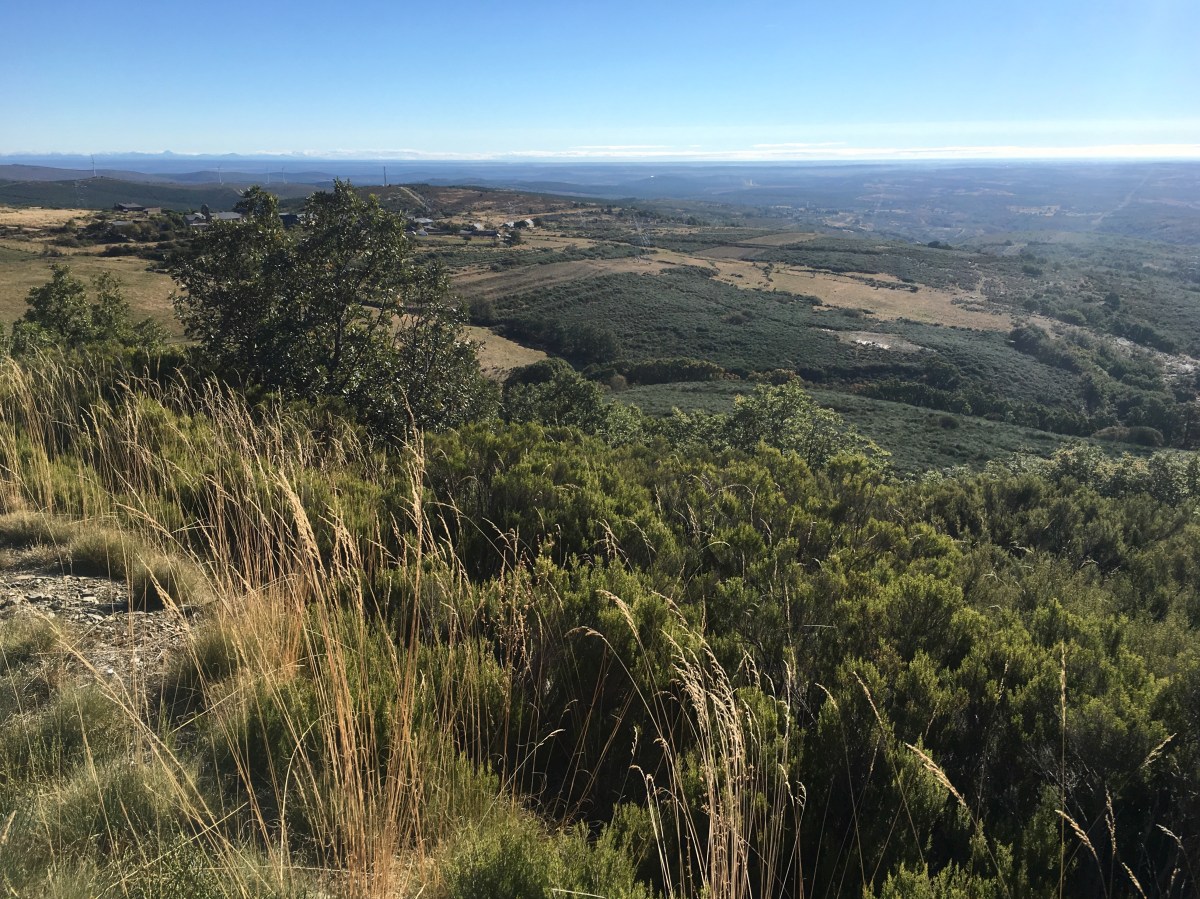 fullsizeoutput_19303