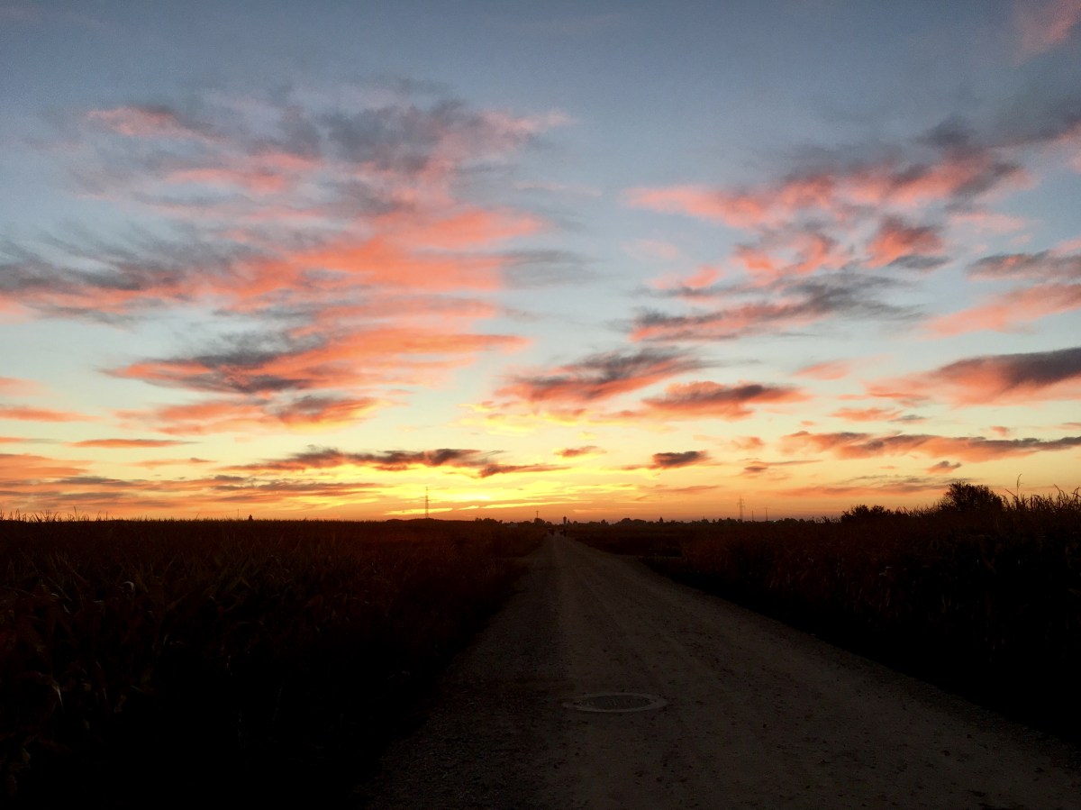 fullsizeoutput_19675