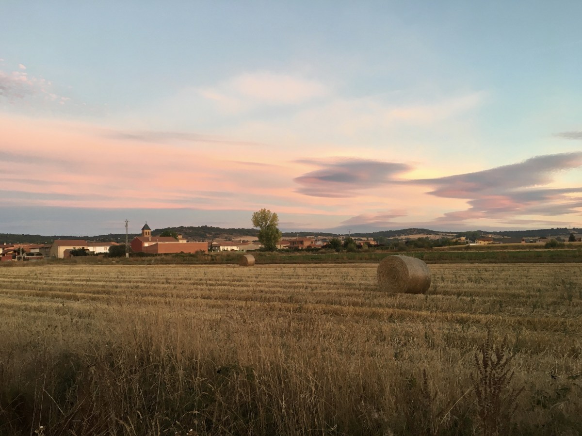 fullsizeoutput_19678