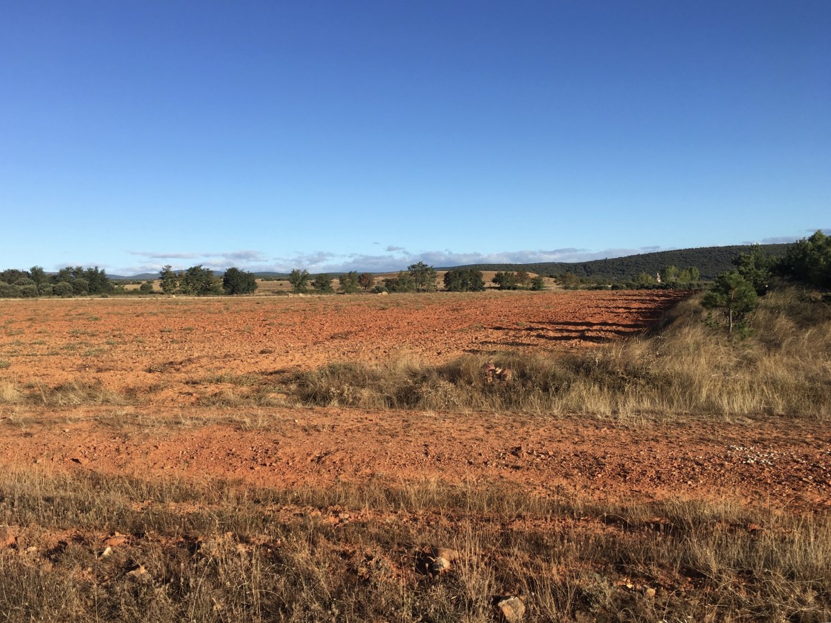 fullsizeoutput_199ef