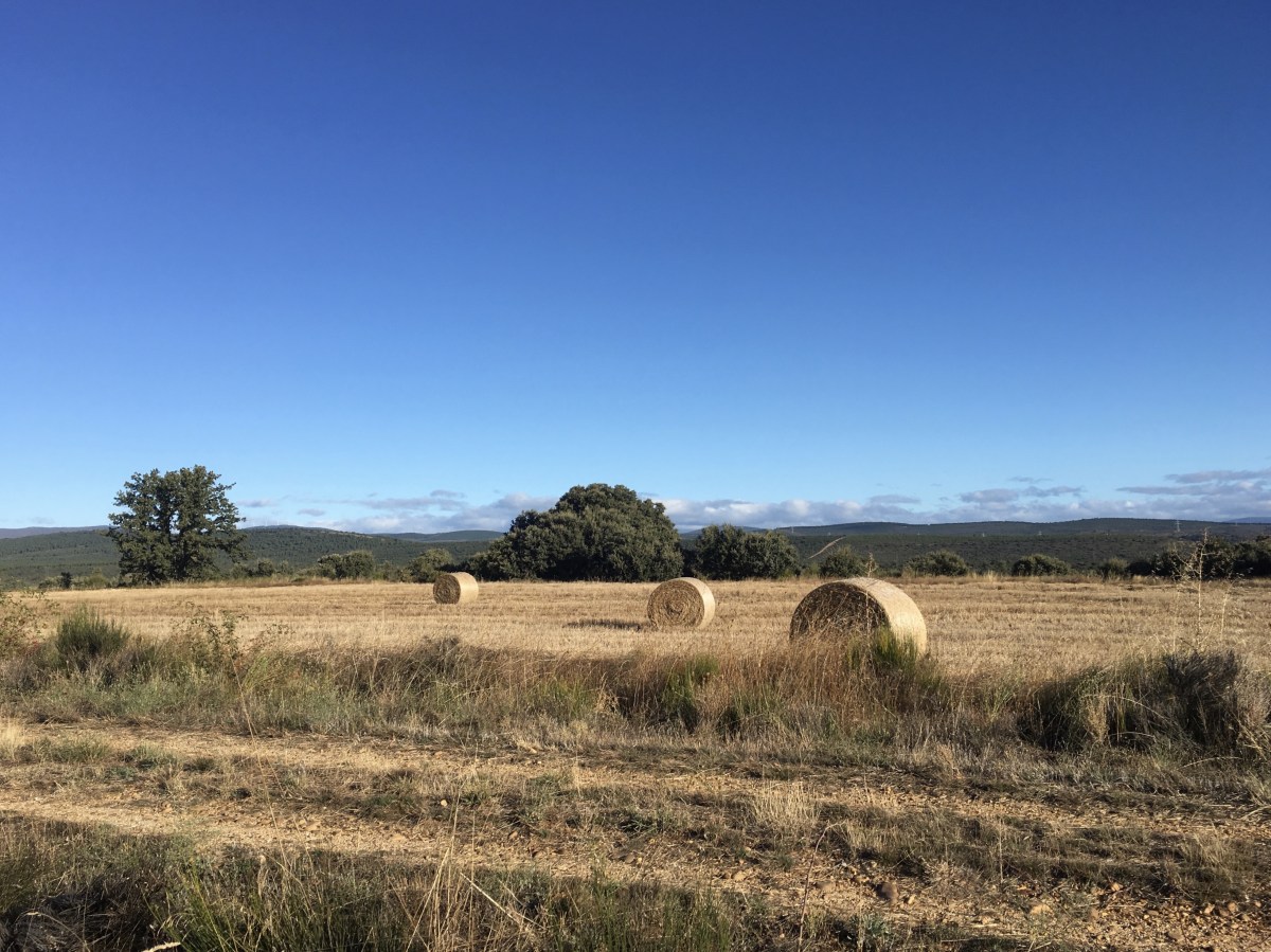 fullsizeoutput_199f1