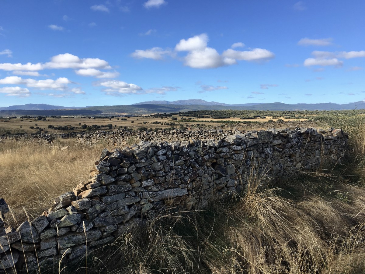 fullsizeoutput_19a07