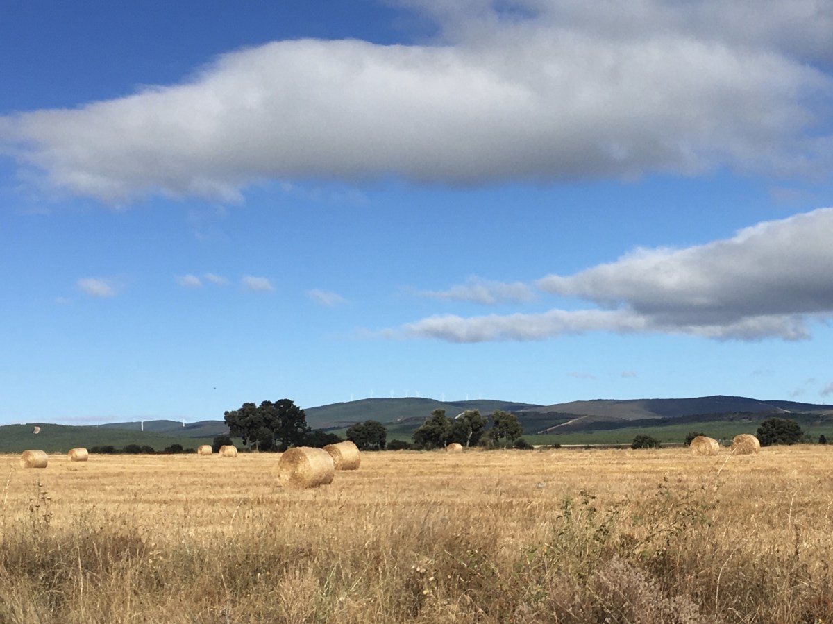 fullsizeoutput_19a11