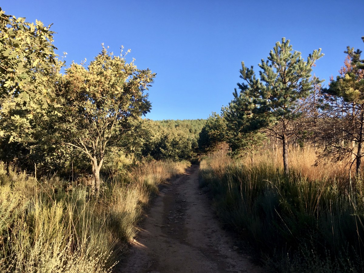 fullsizeoutput_19ab7