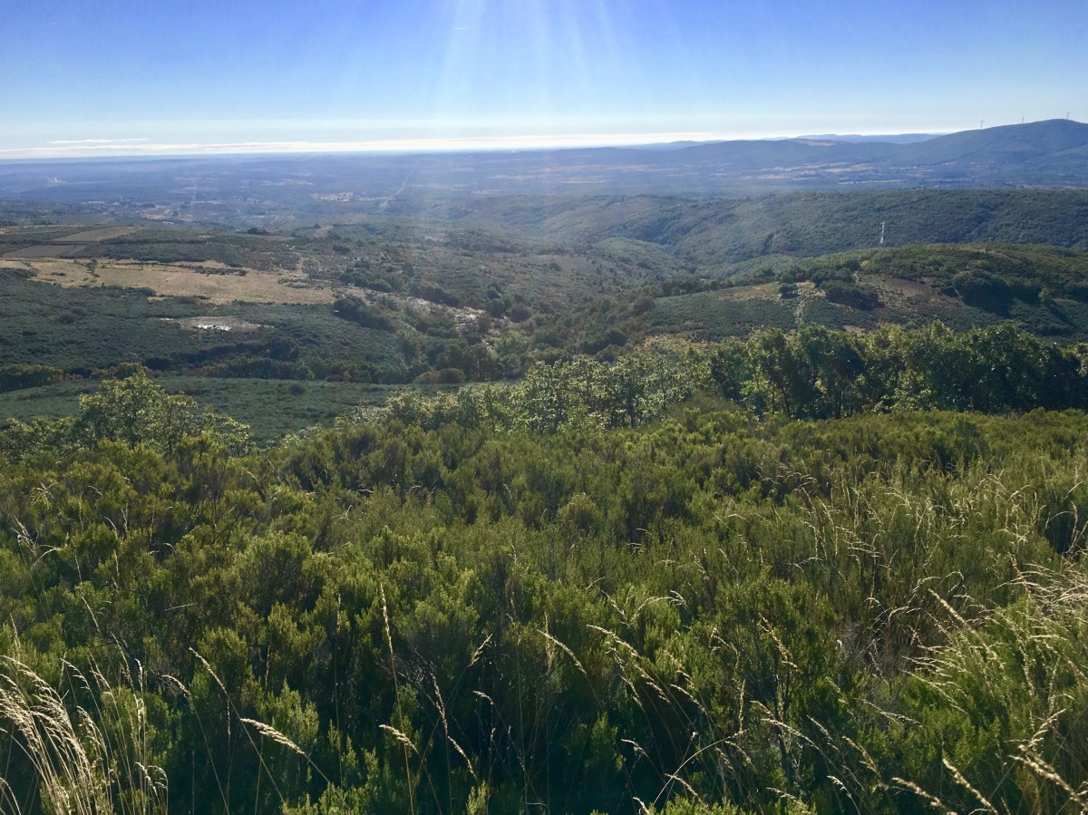 fullsizeoutput_19abd