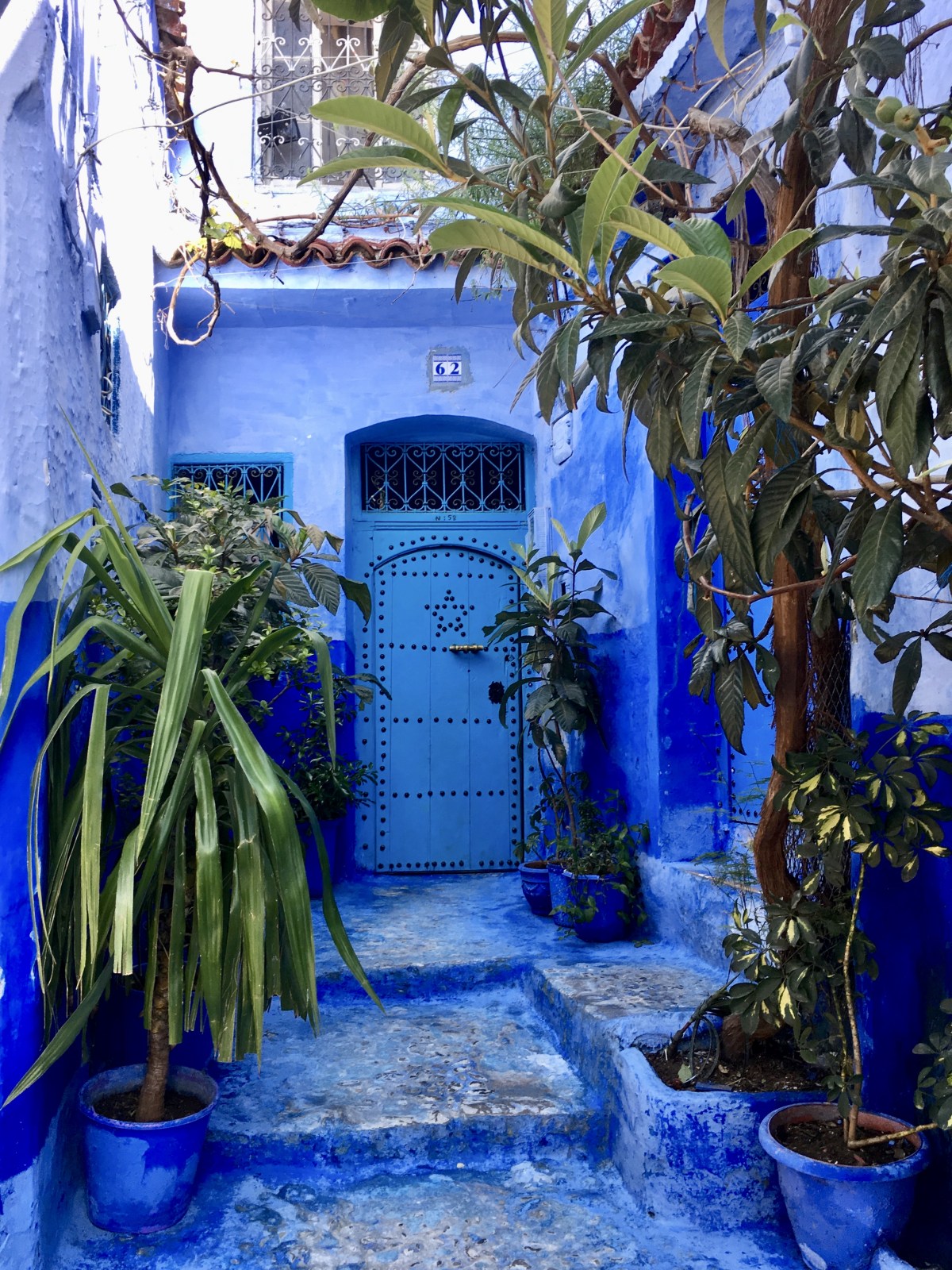 fullsizeoutput_19bd4