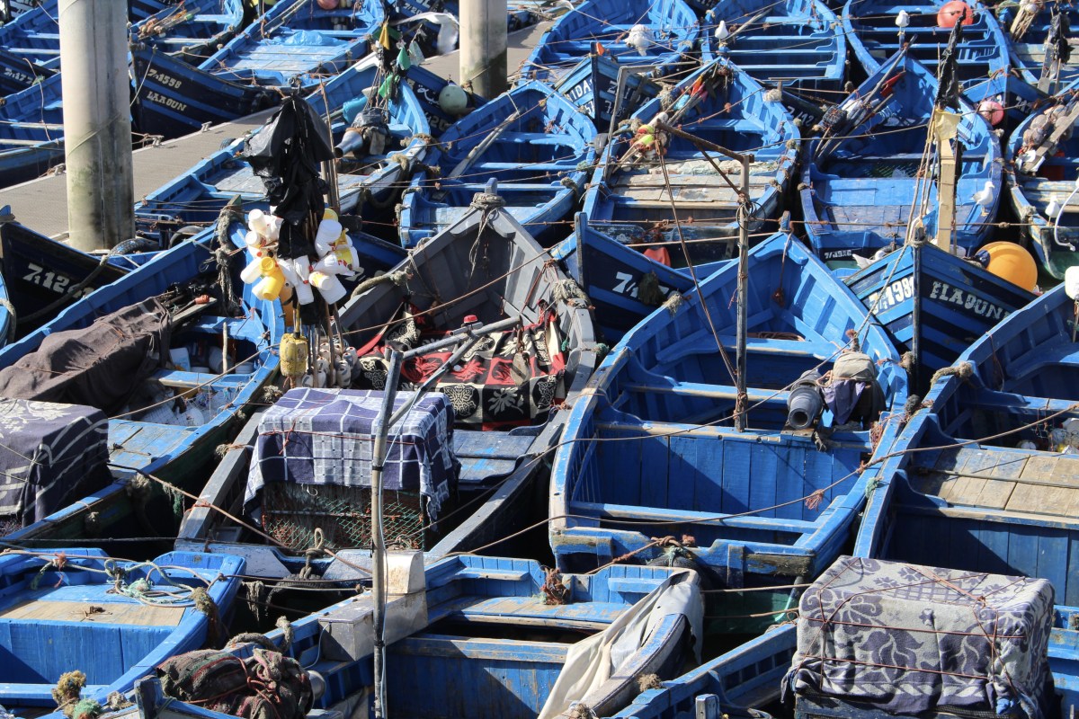 fullsizeoutput_19be1