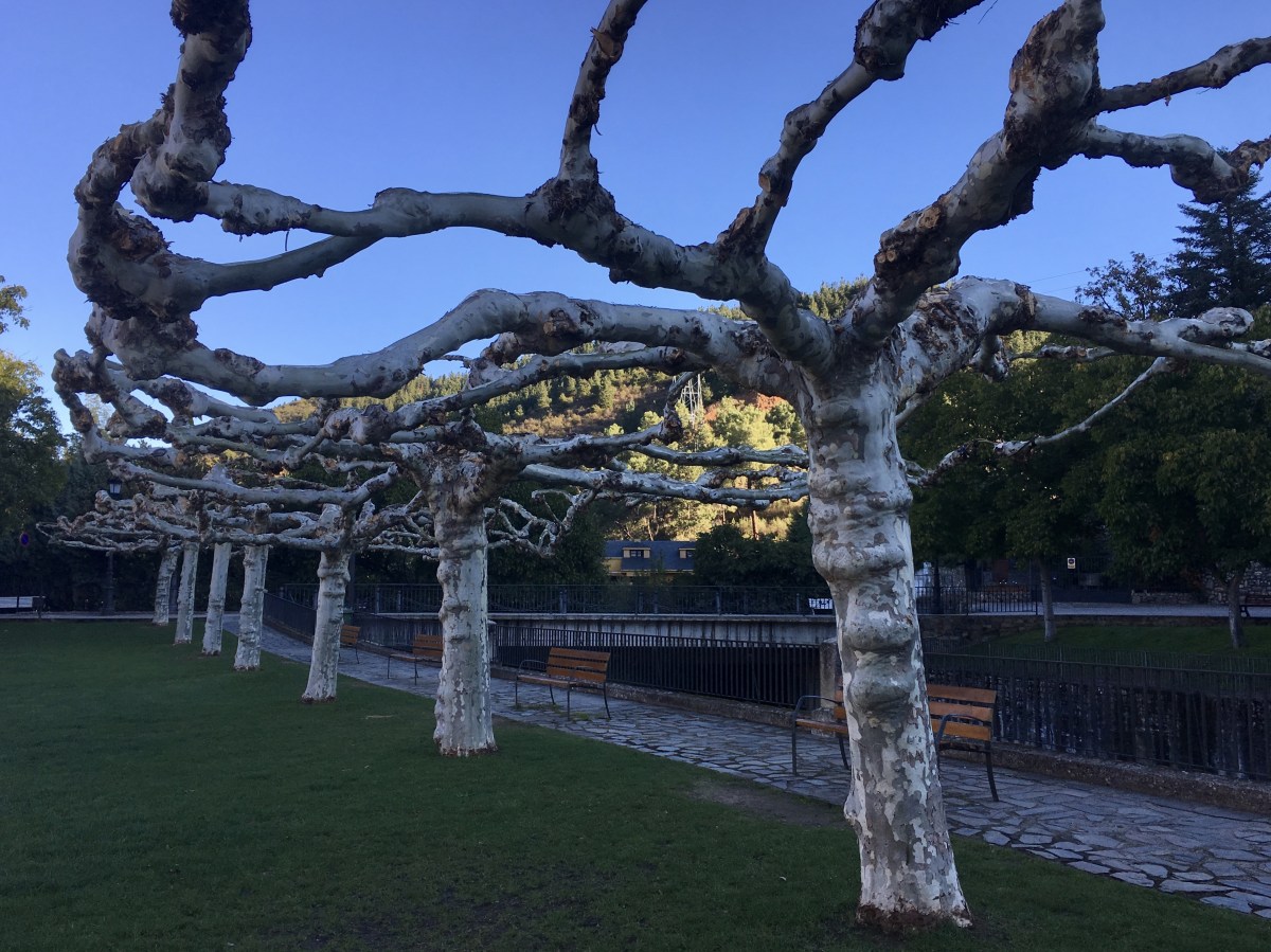 fullsizeoutput_19d31