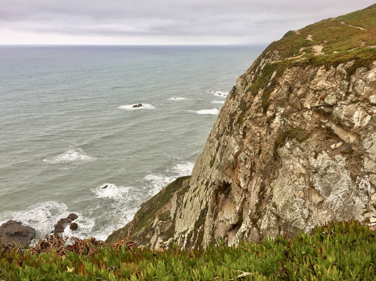 fullsizeoutput_19e05