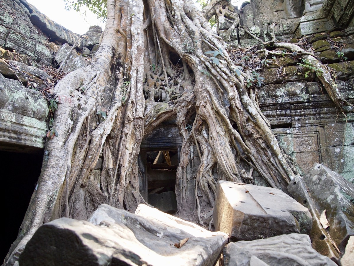 fullsizeoutput_19fef