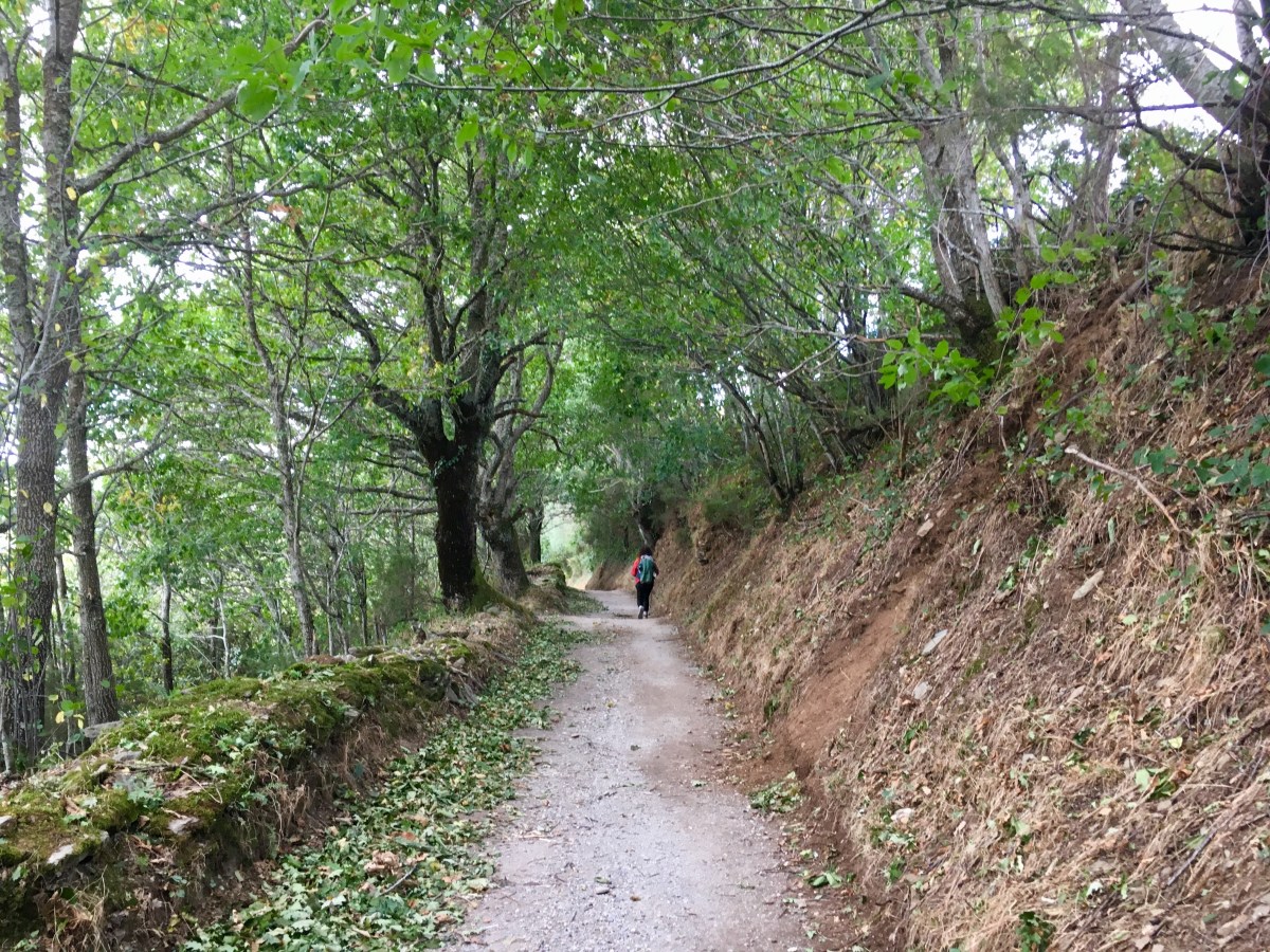 fullsizeoutput_16998