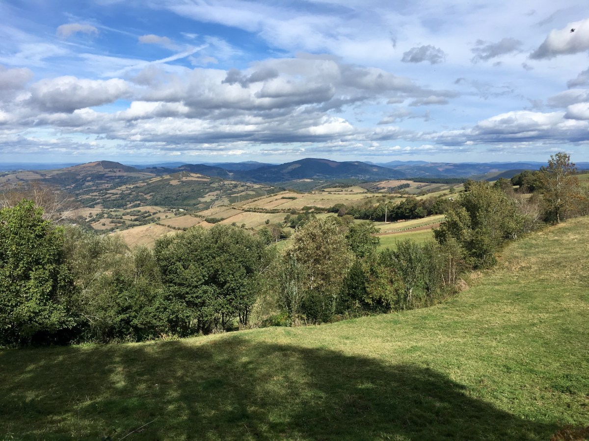 fullsizeoutput_169a2