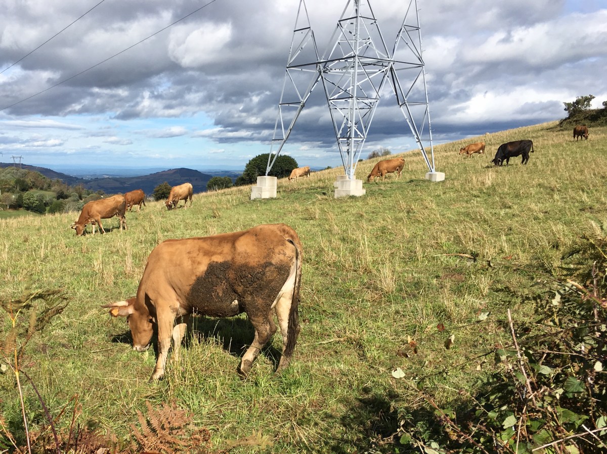 fullsizeoutput_169b5