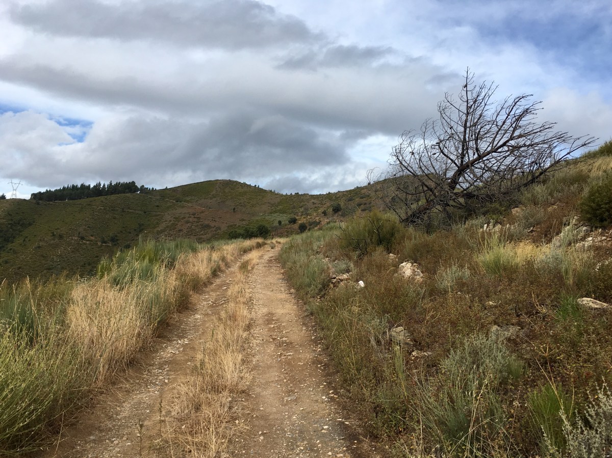 fullsizeoutput_16a08