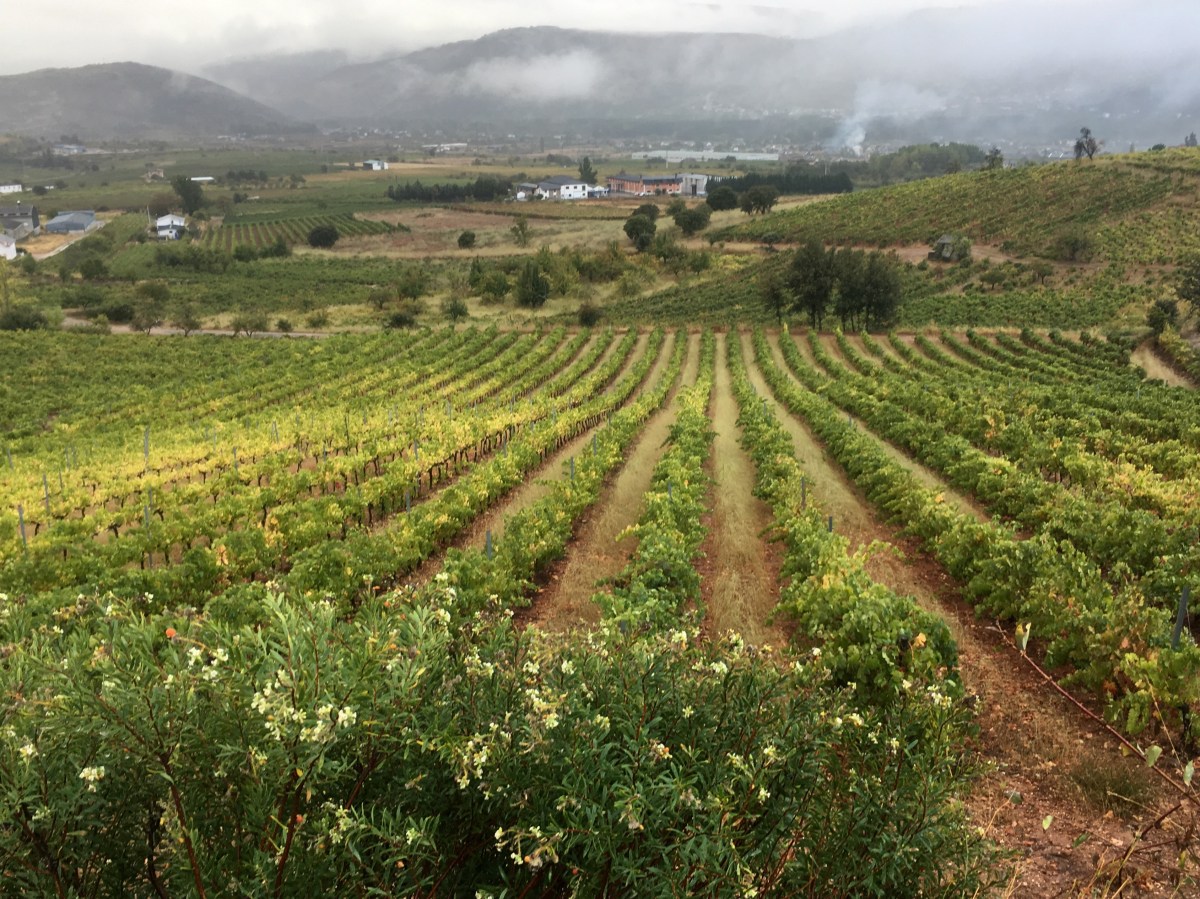 fullsizeoutput_16a17