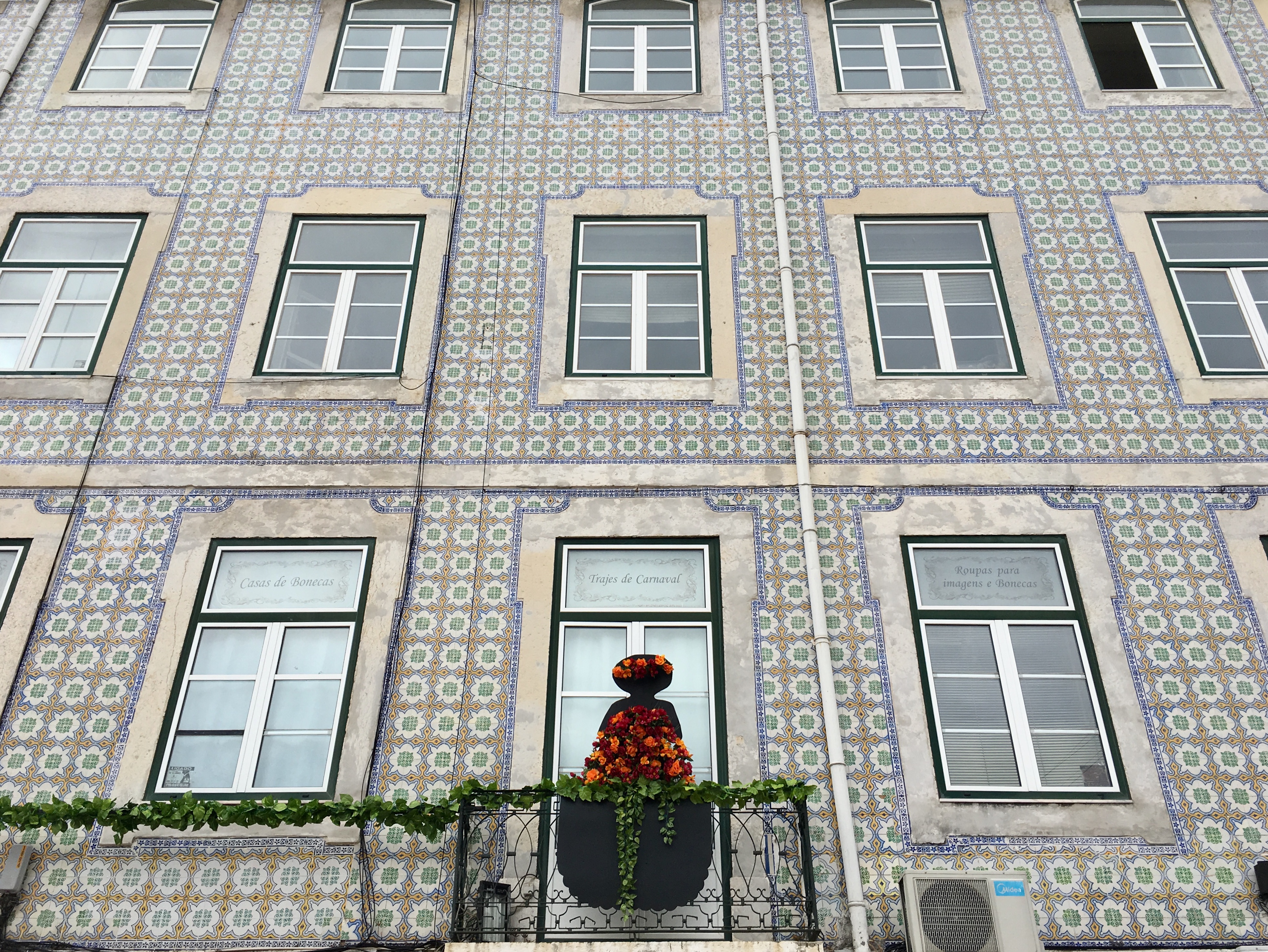 fullsizeoutput_17541