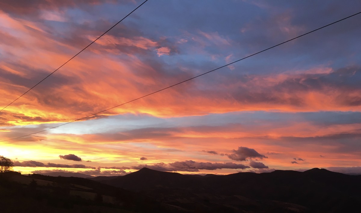 fullsizeoutput_1778f