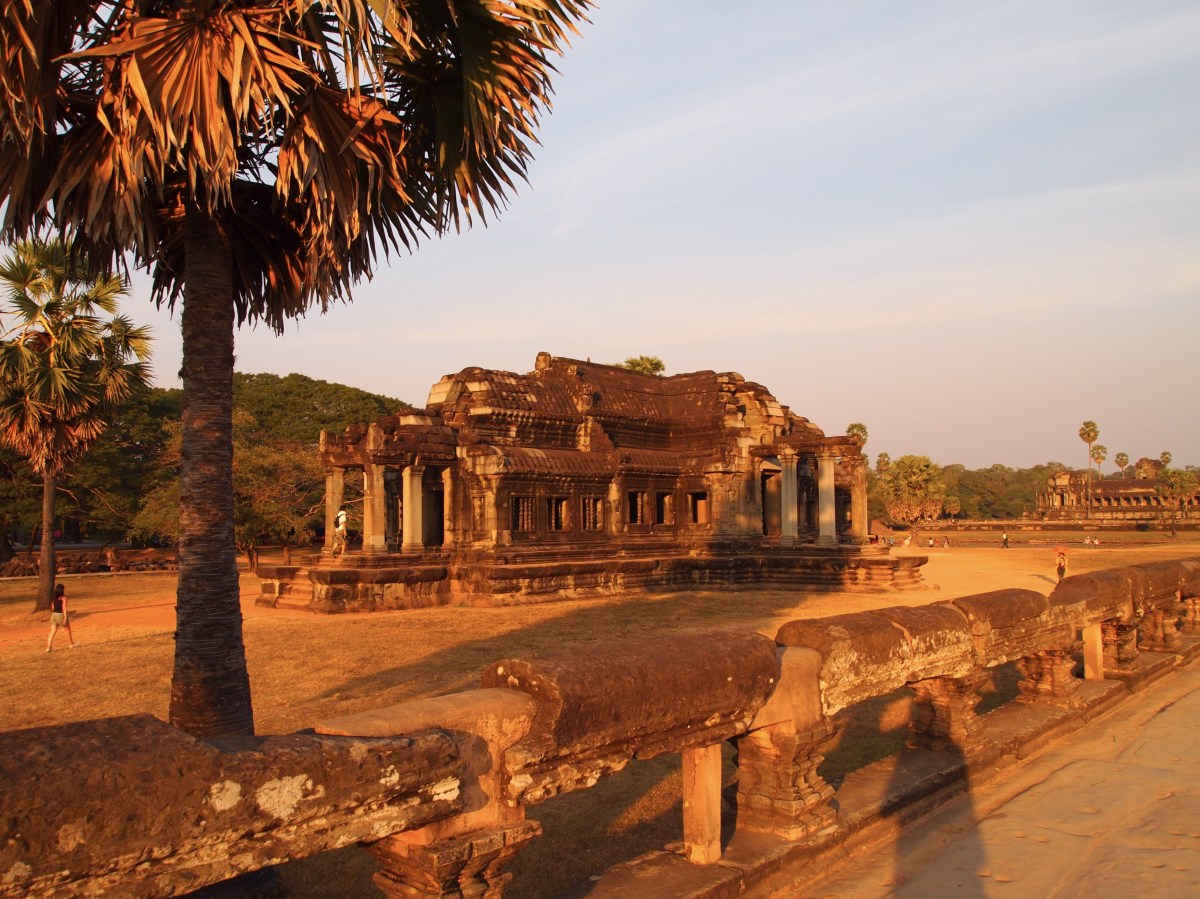 fullsizeoutput_19f55