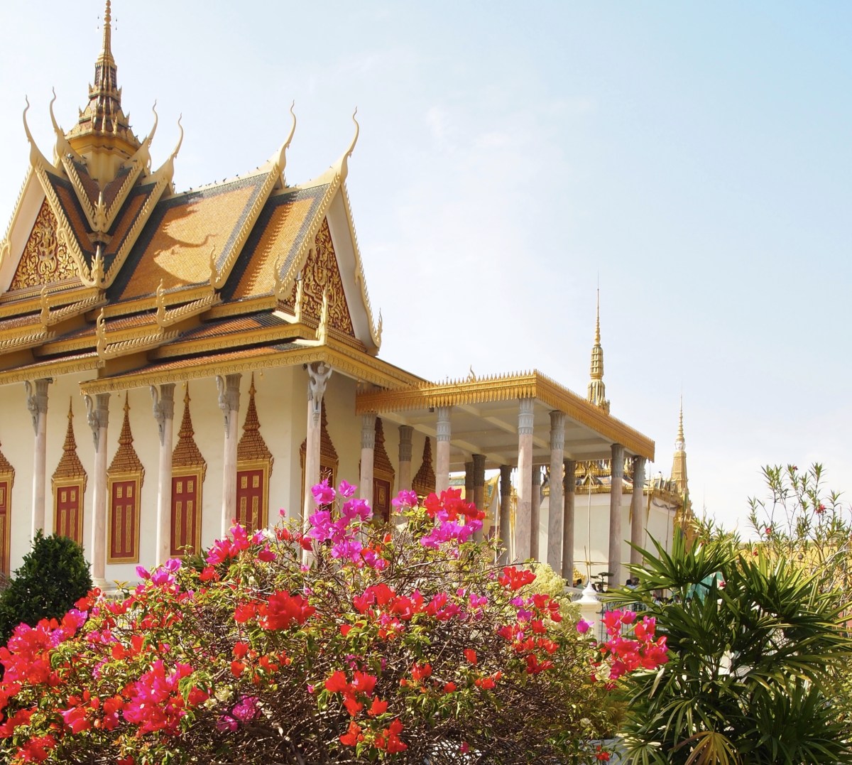 fullsizeoutput_1a195